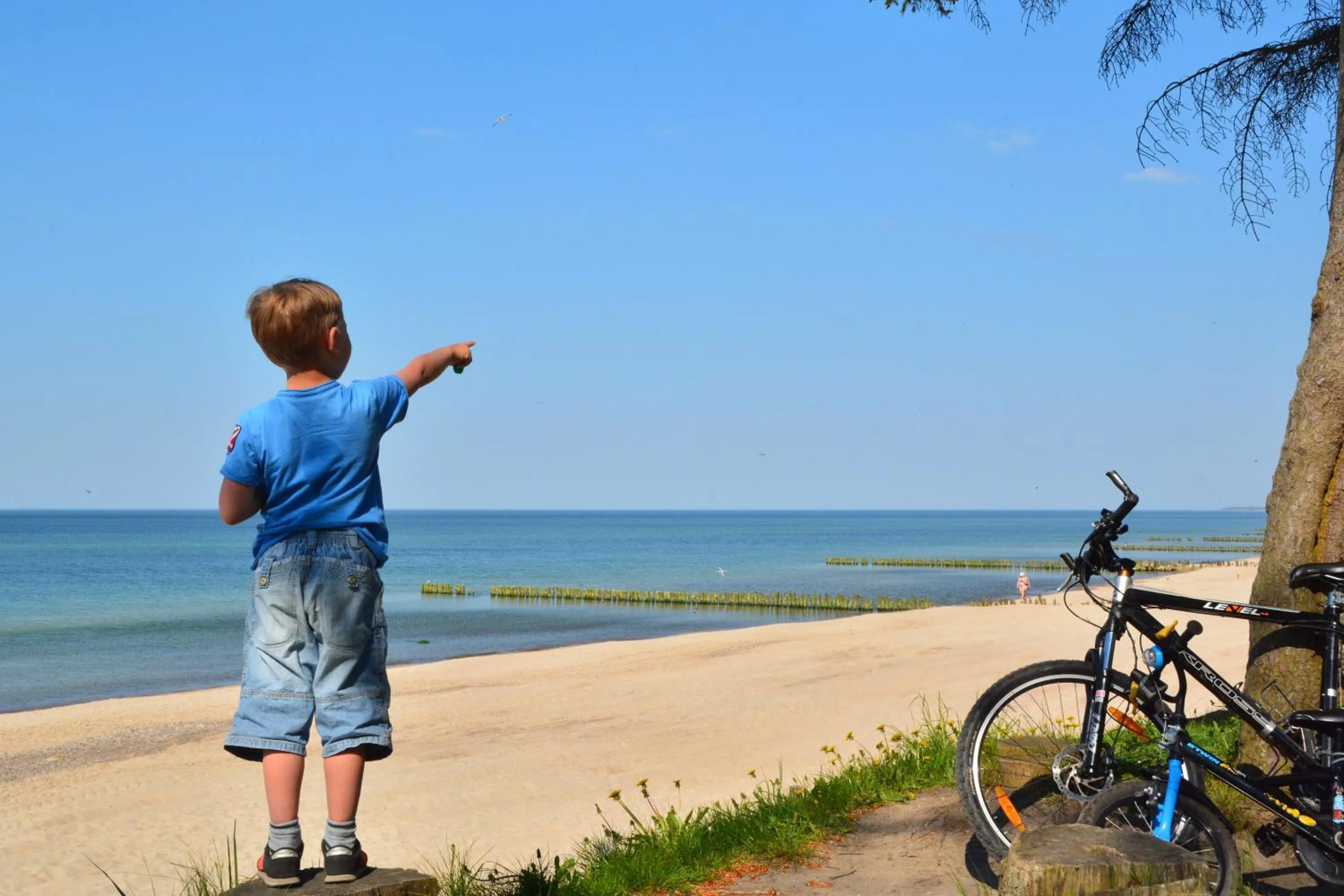 Spring in Tropikana Domki, Apartamenty