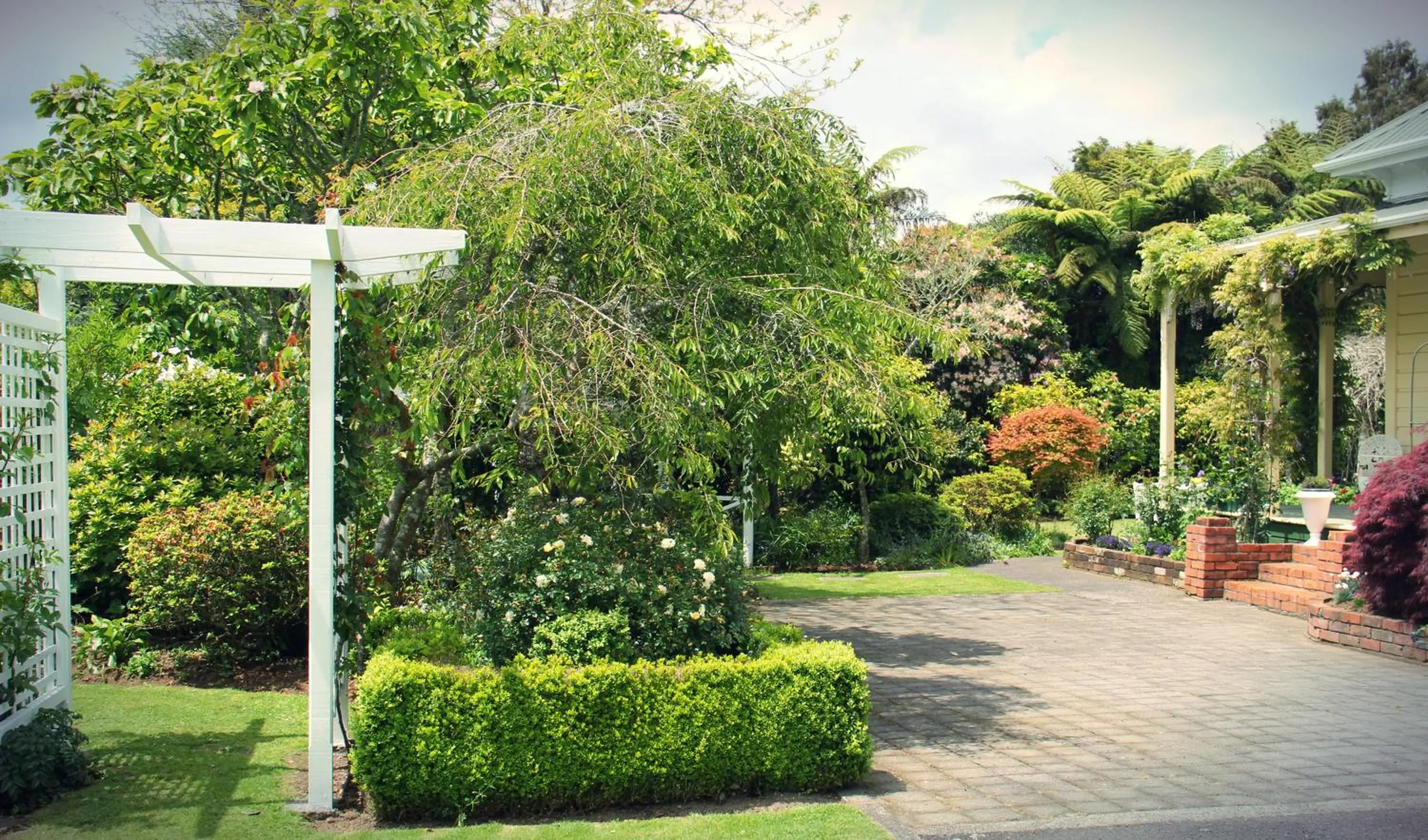 Garden in Regan House
