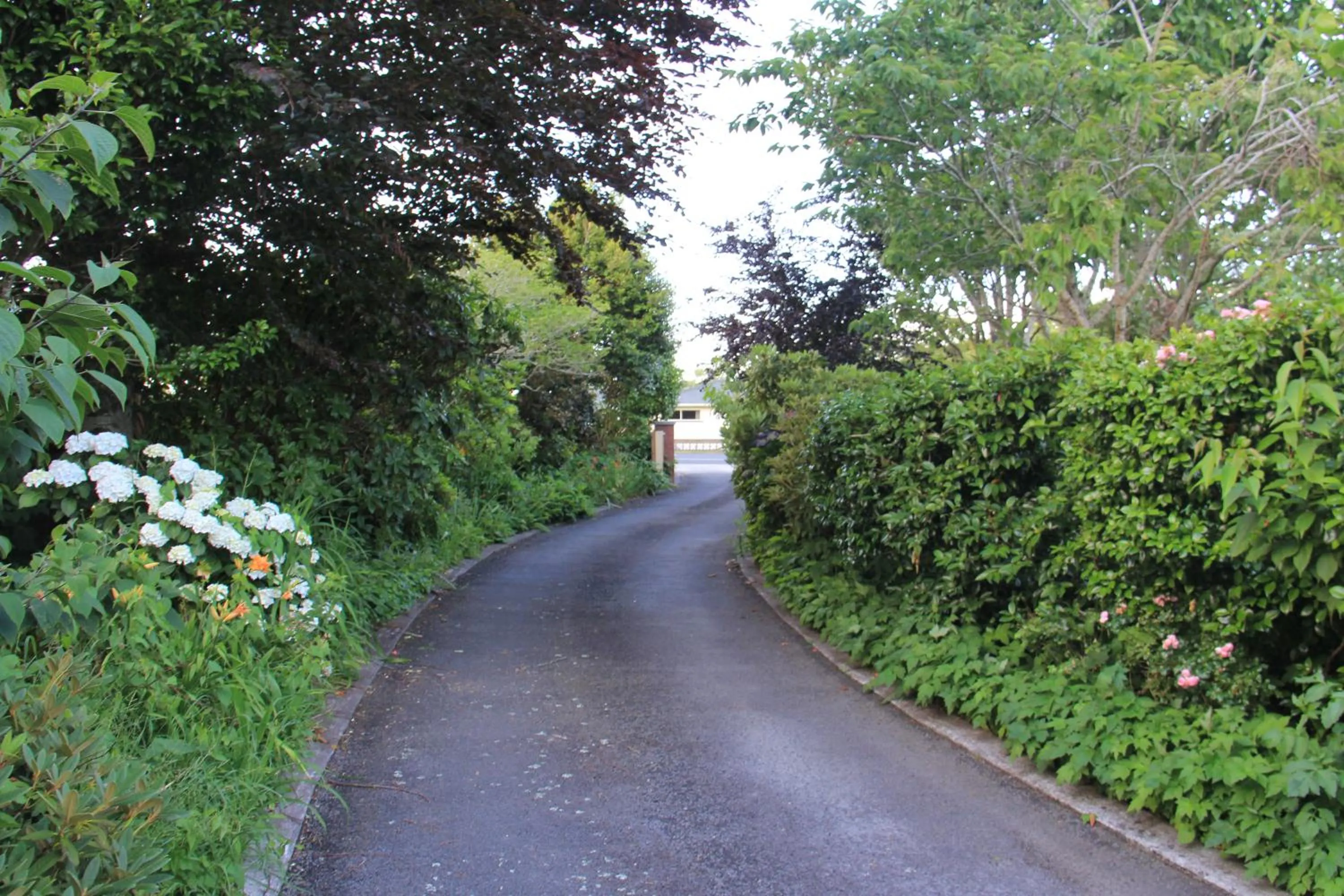 Garden in Regan House