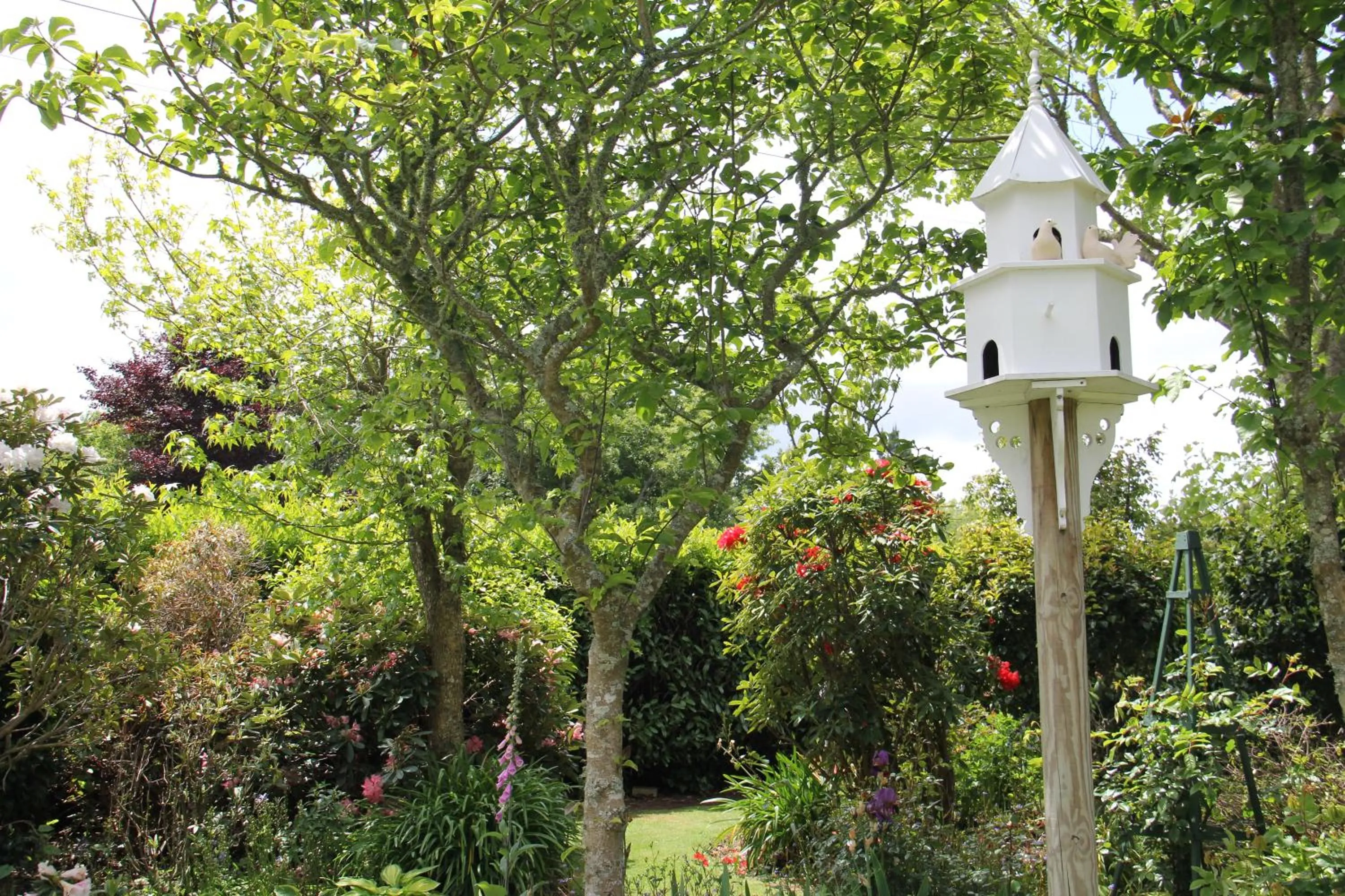 Garden in Regan House