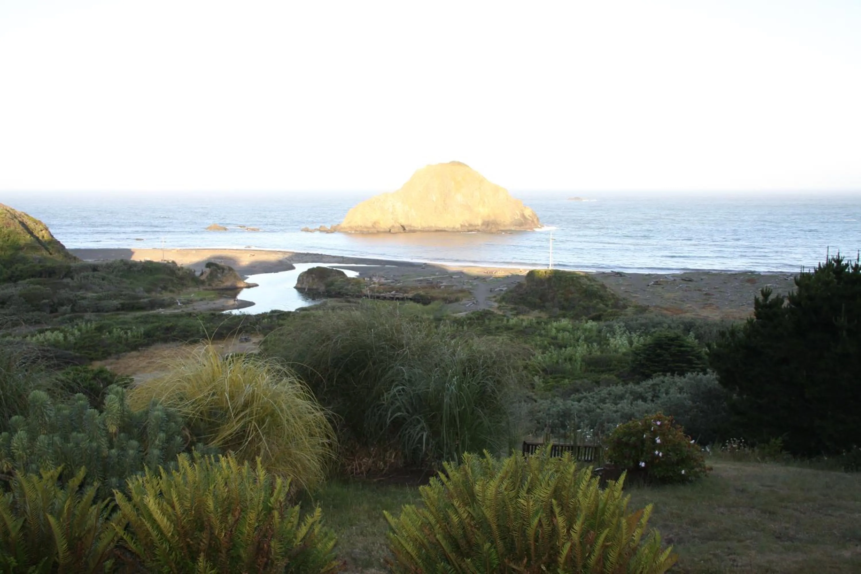 Natural landscape in Elk Cove Inn & Spa