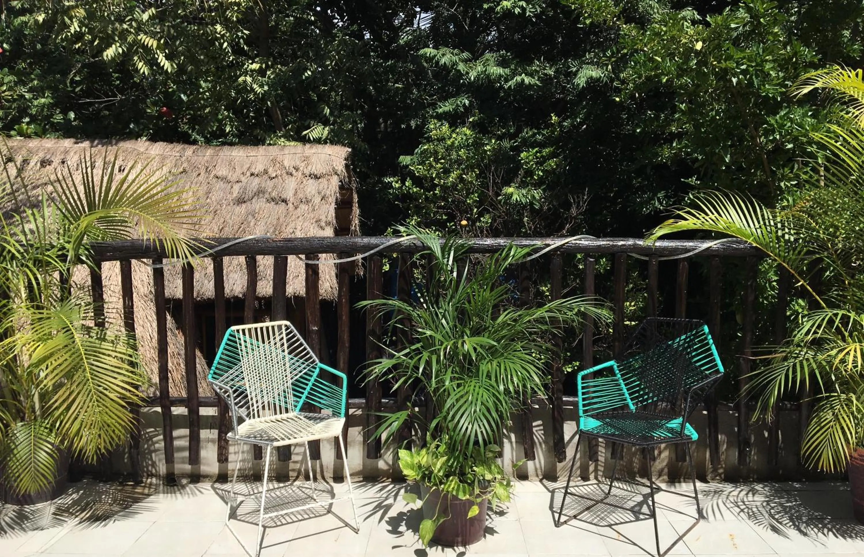 Patio in Hostal Cha Cha Cha