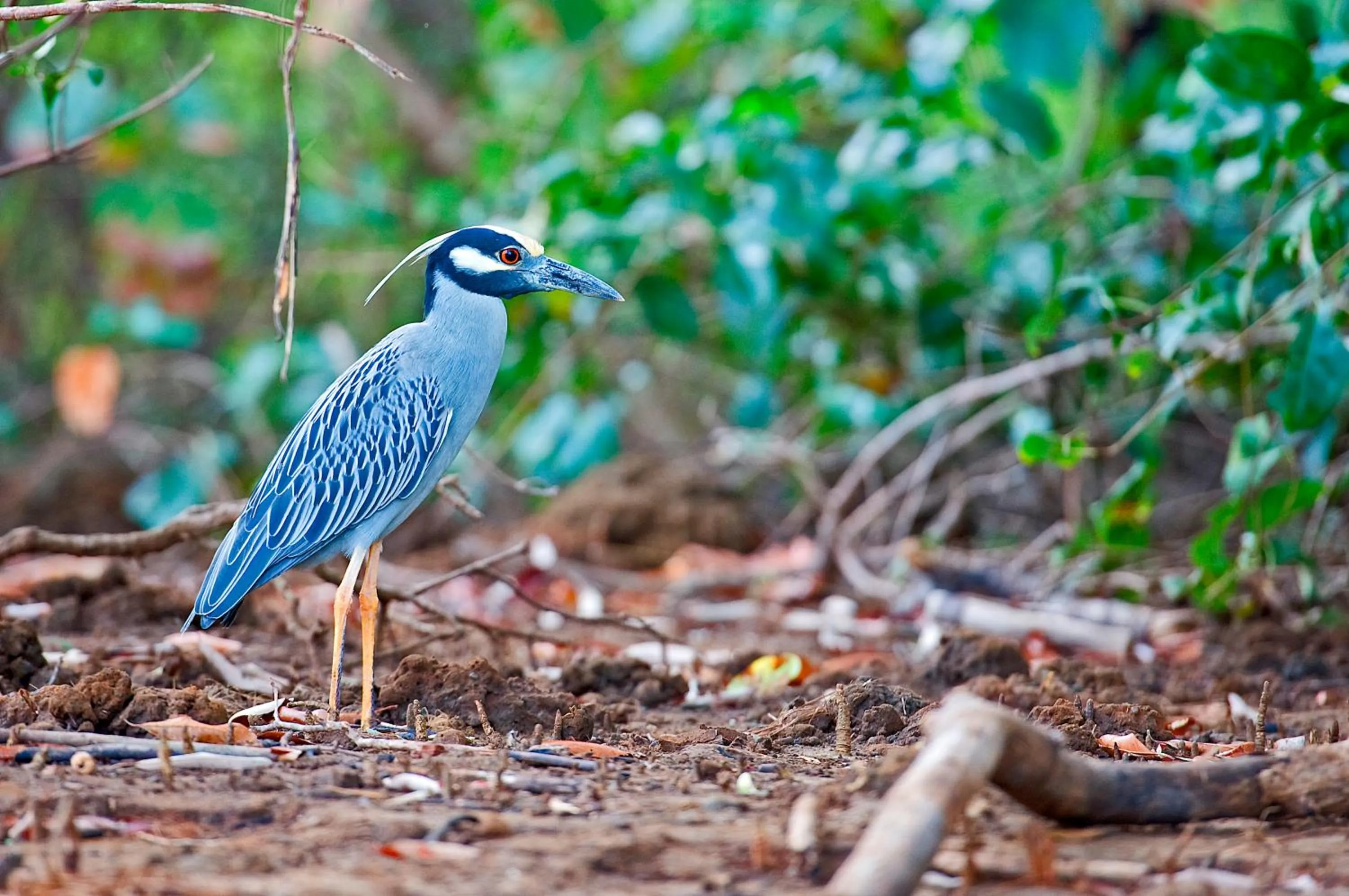 Nearby landmark in Hotel Boutique Lagarta Lodge