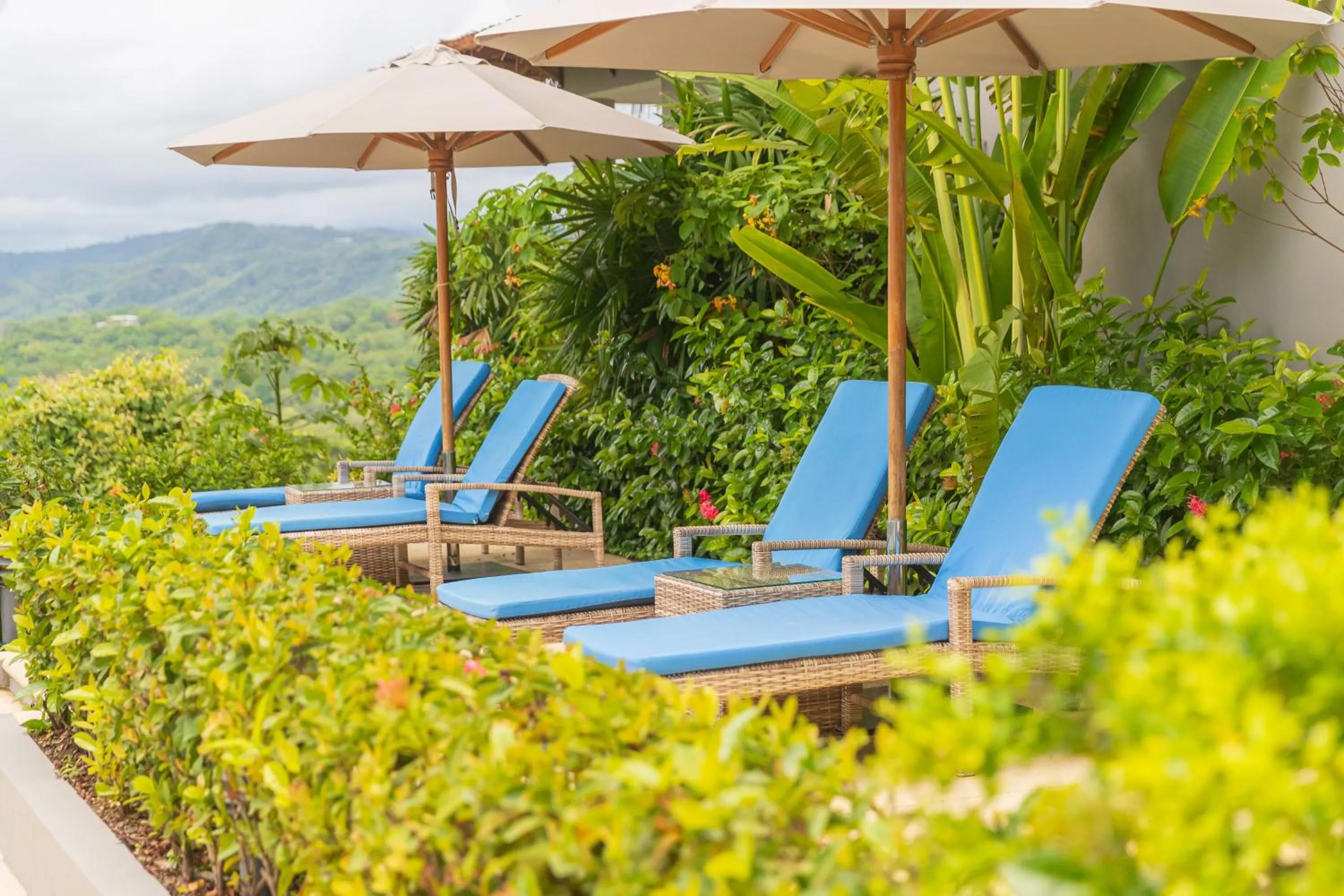 Natural landscape in Hotel Boutique Lagarta Lodge