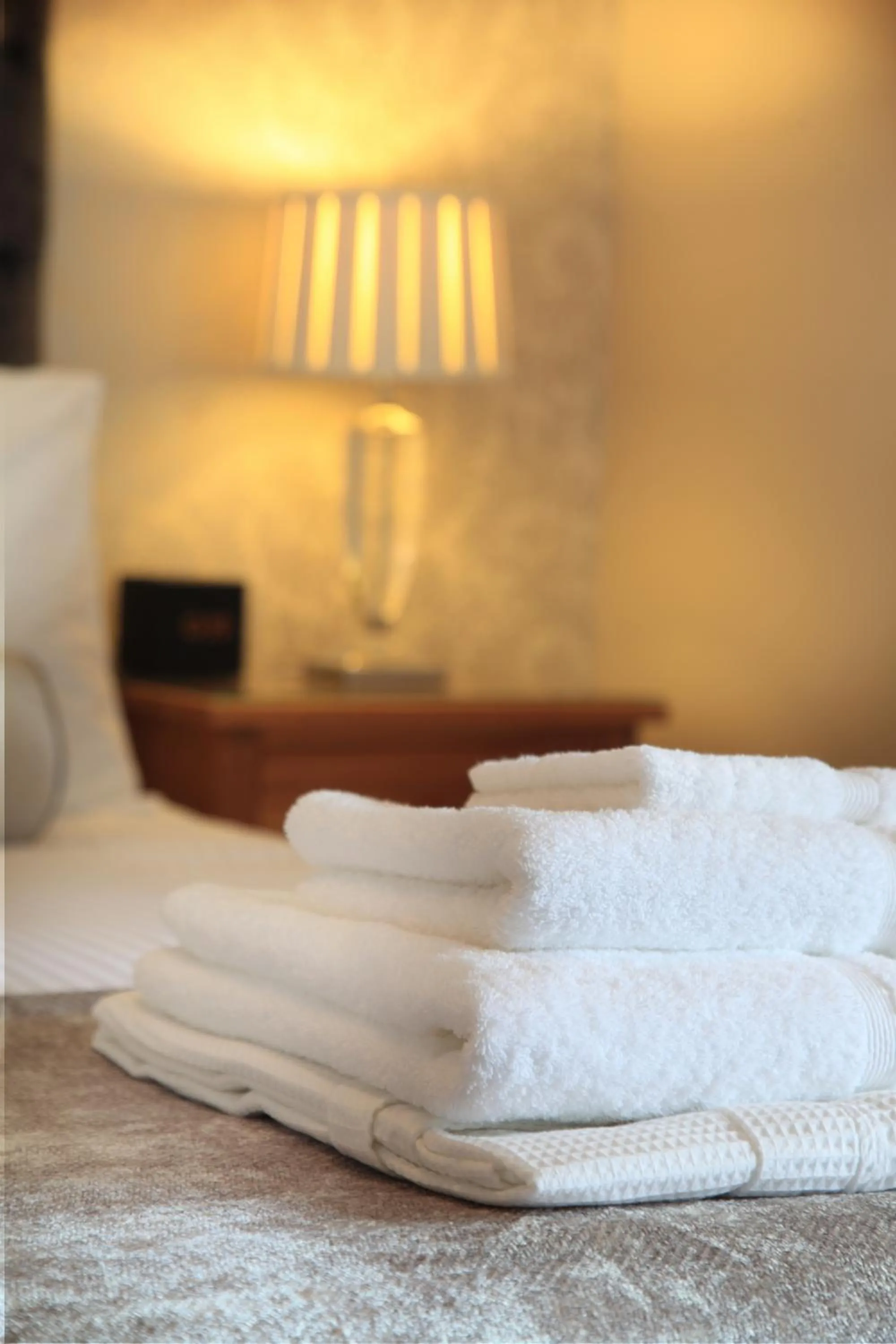 Virginia House Bed & Breakfast