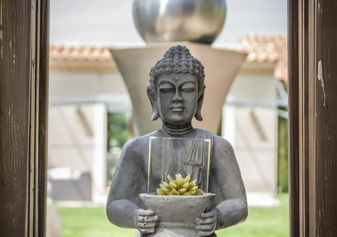 Garden view in Mas des Cigales