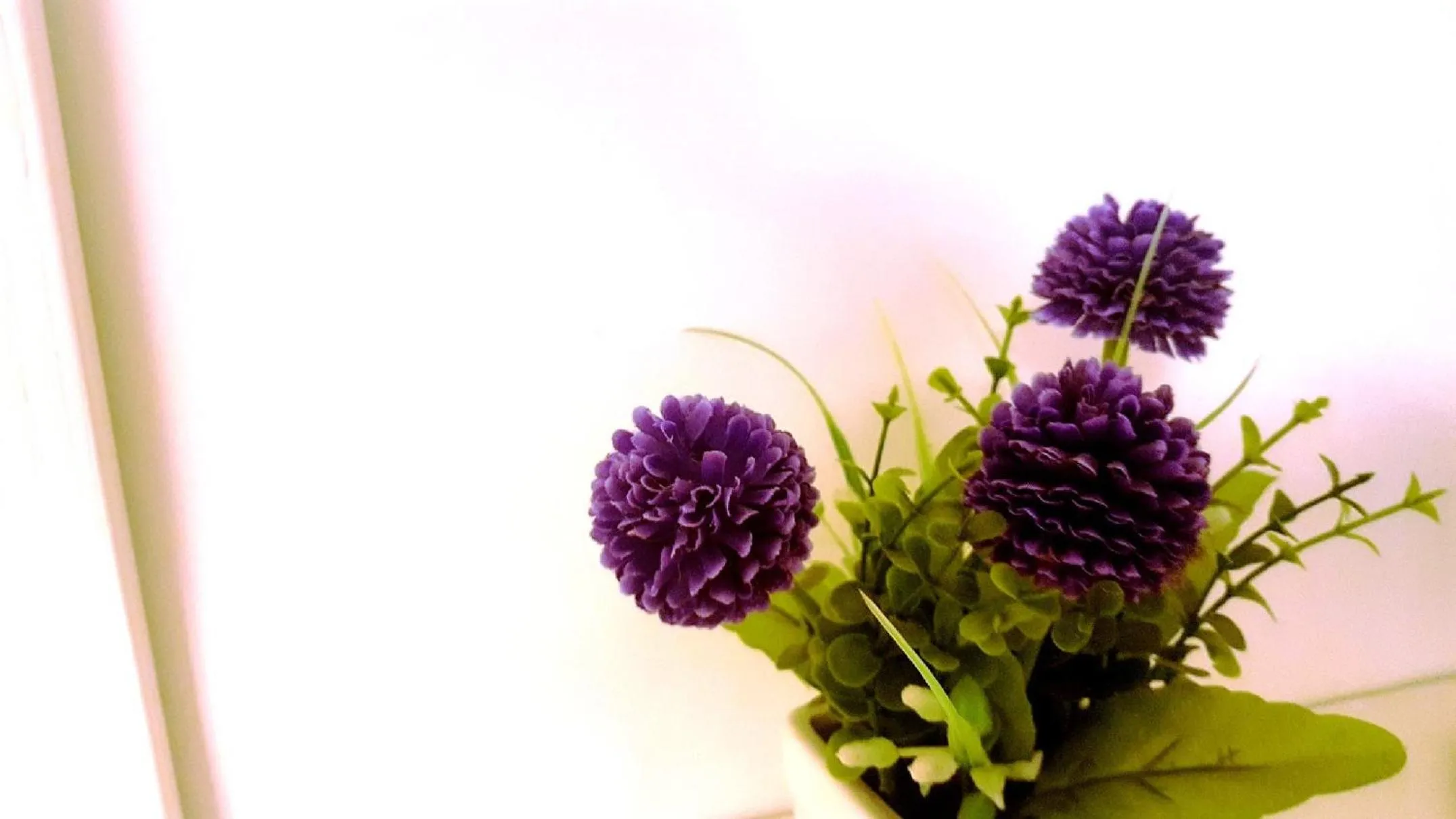 Decorative detail in Palazzo Zimatore Residenza D'Epoca