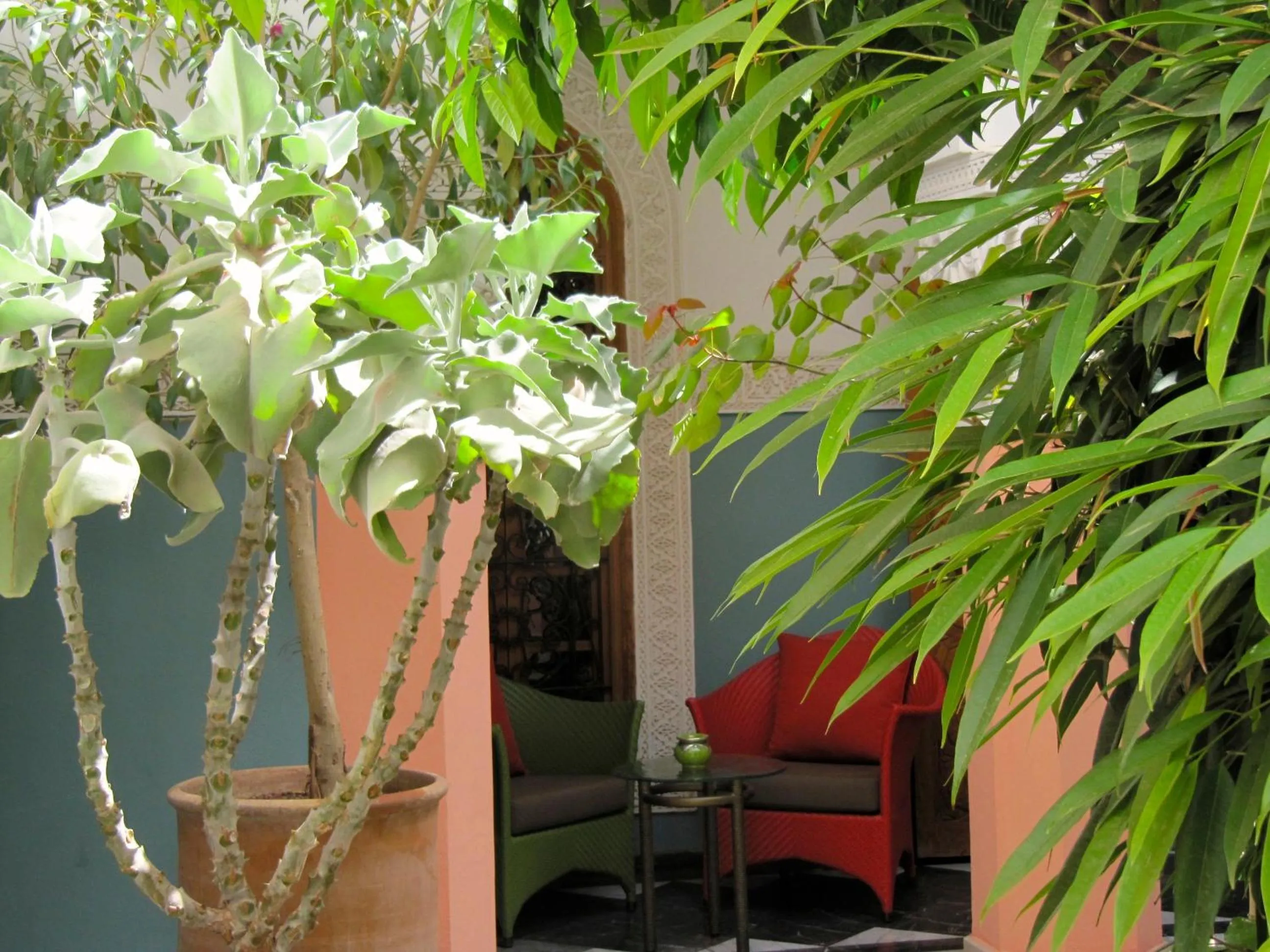Balcony/Terrace in Riad Siwan