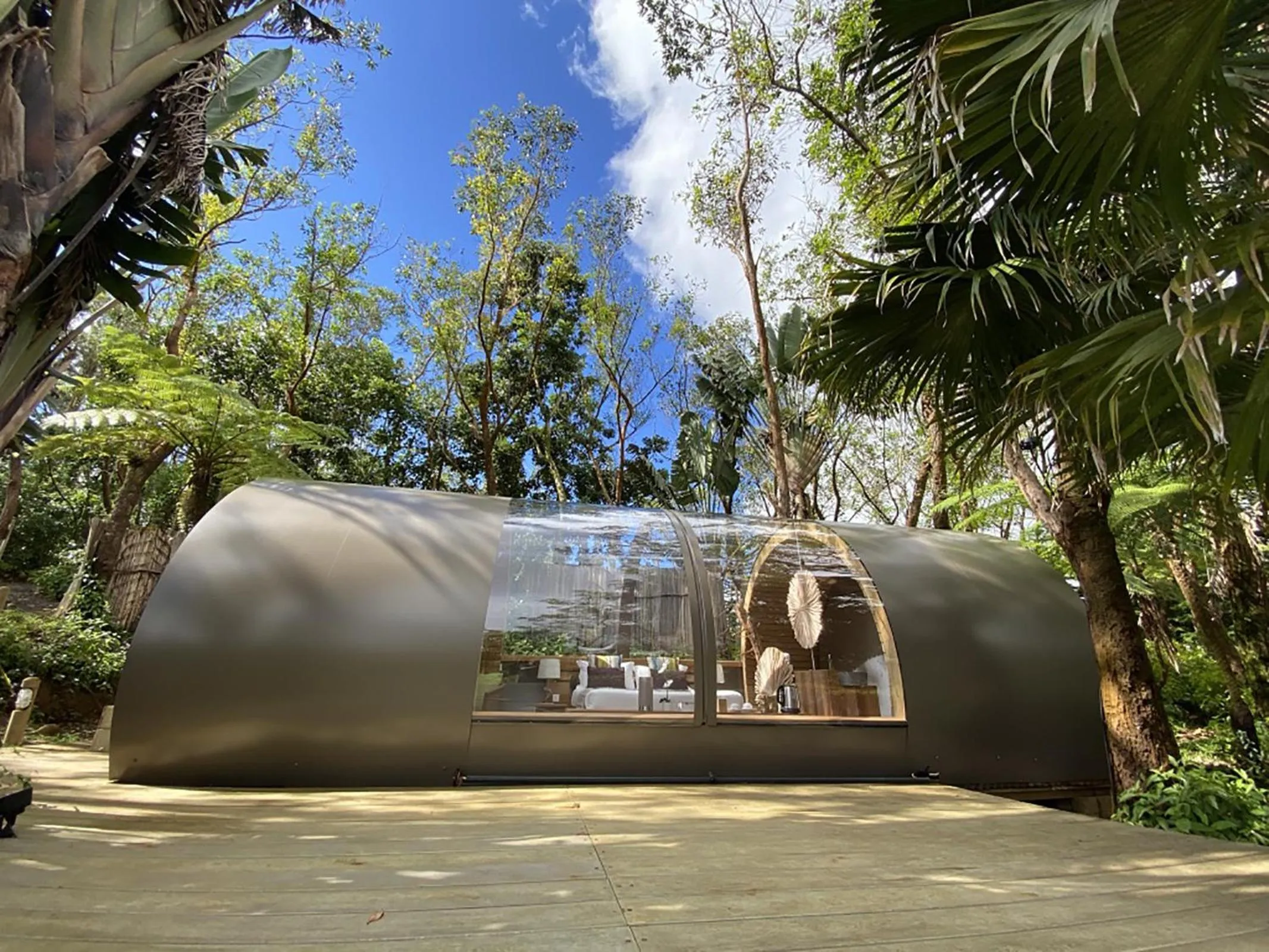 Natural landscape in Bubble Lodge Bois Chéri Plantation
