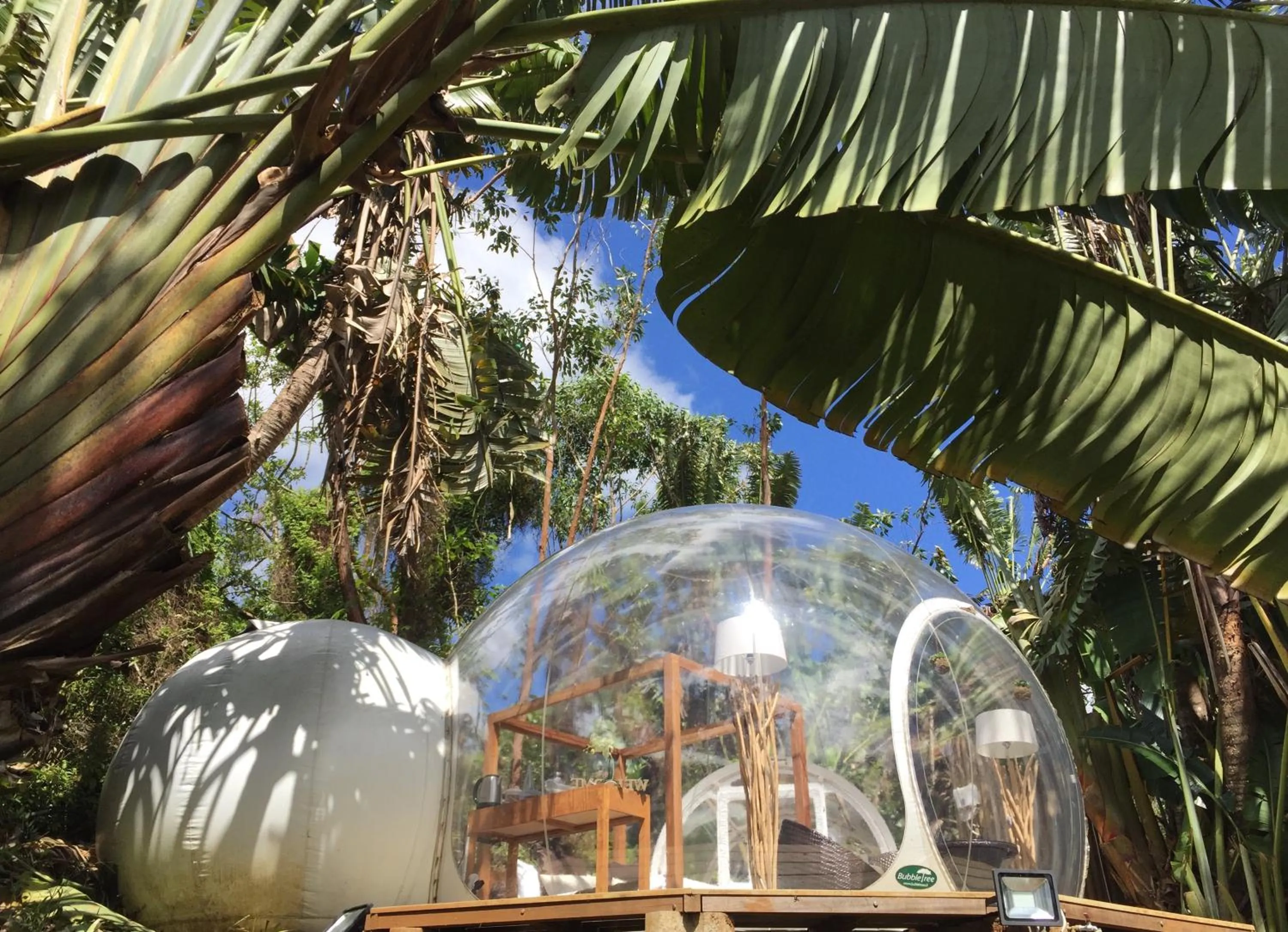 Photo of the whole room in Bubble Lodge Bois Chéri Plantation