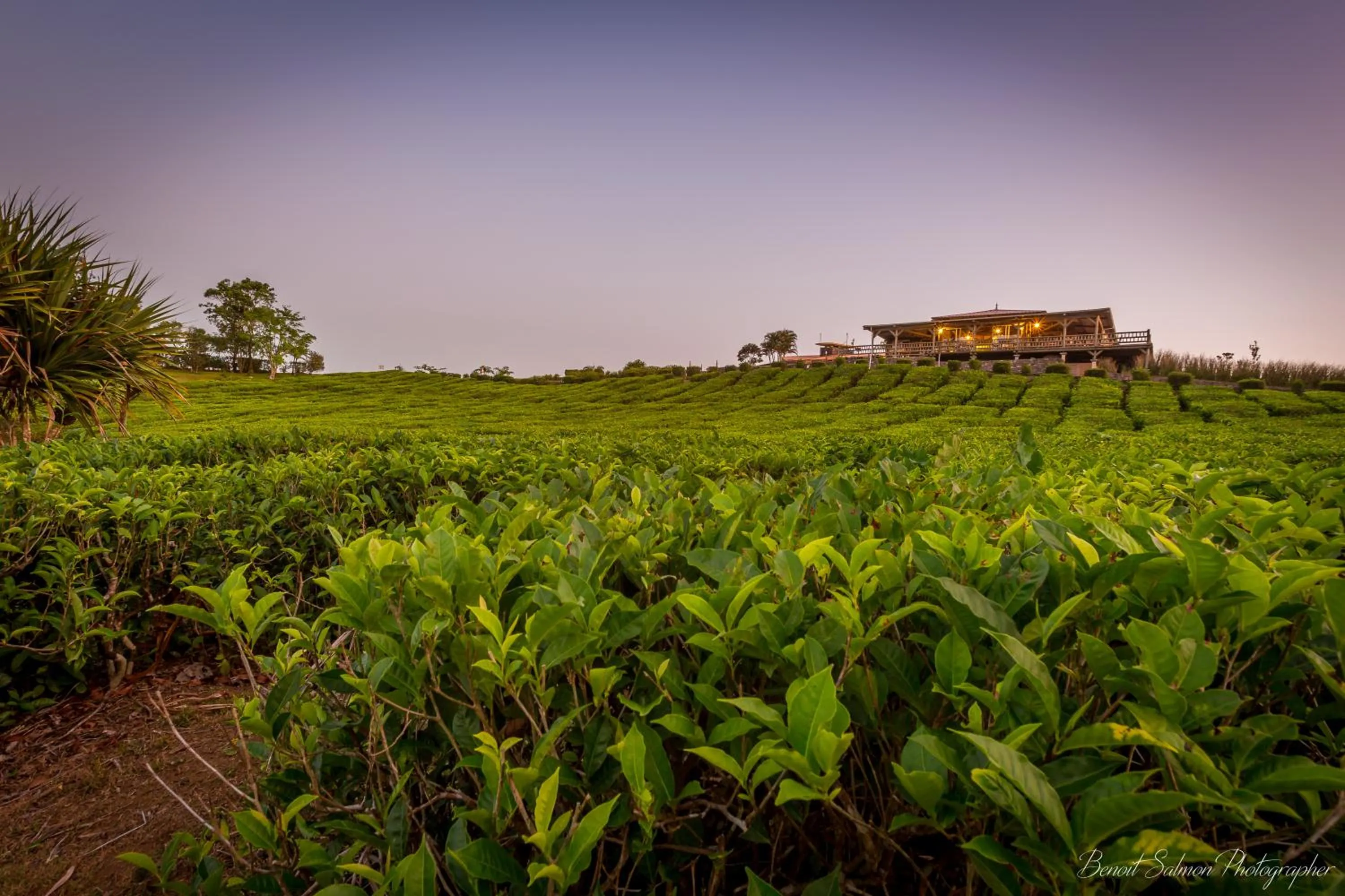 Restaurant/places to eat in Bubble Lodge Bois Chéri Plantation