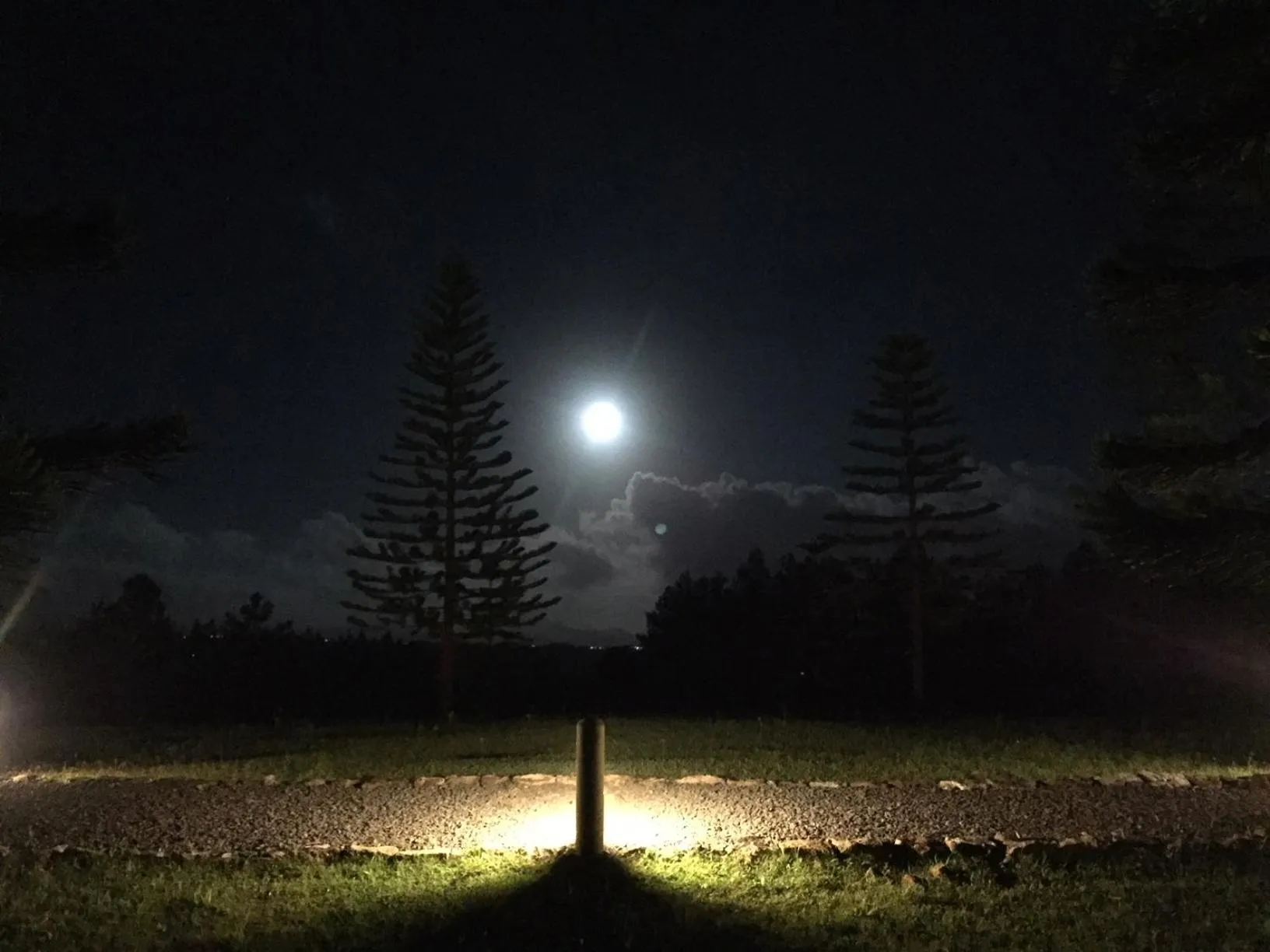 View (from property/room) in Bubble Lodge Bois Chéri Plantation