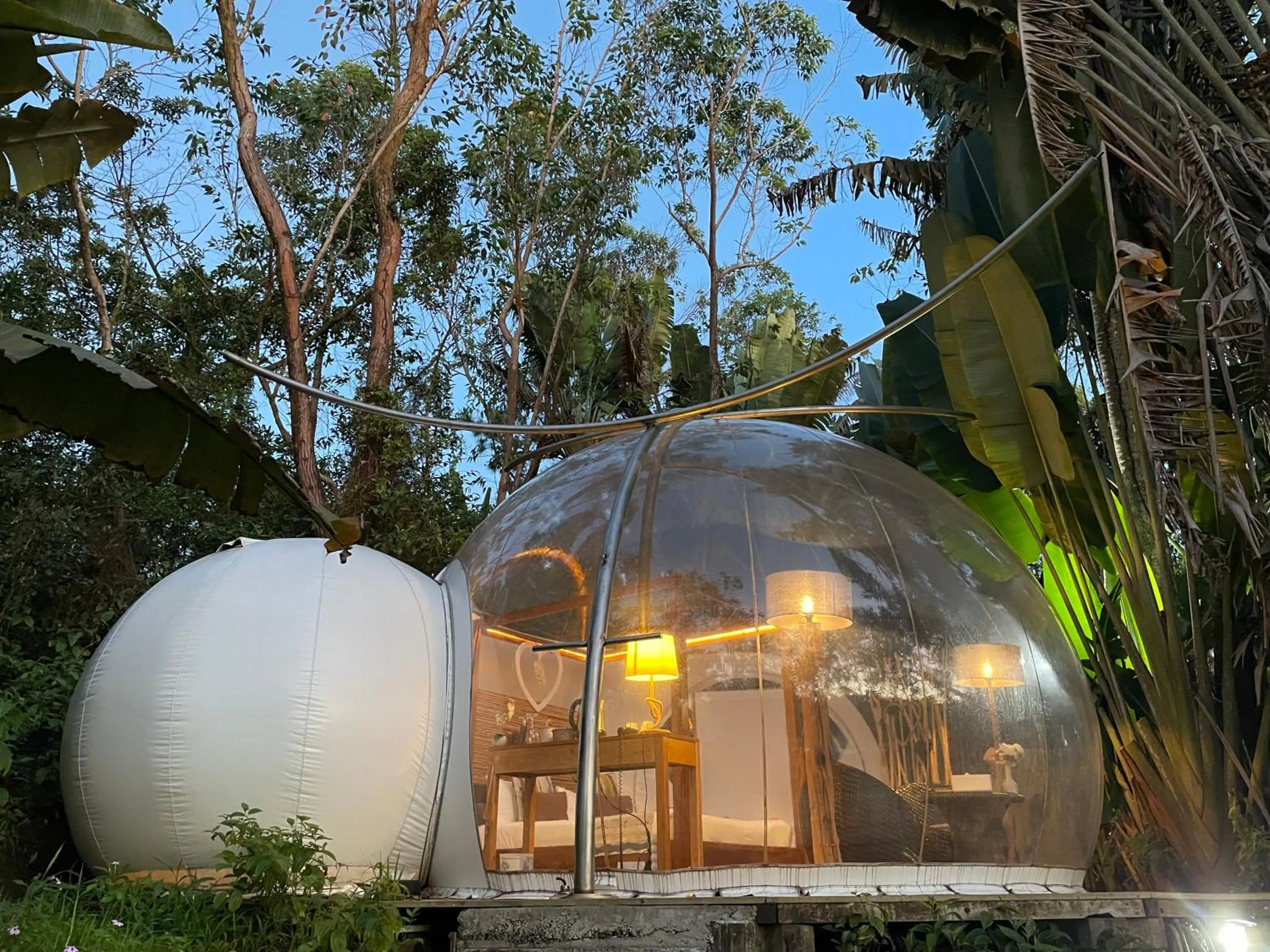 Photo of the whole room in Bubble Lodge Bois Chéri Plantation