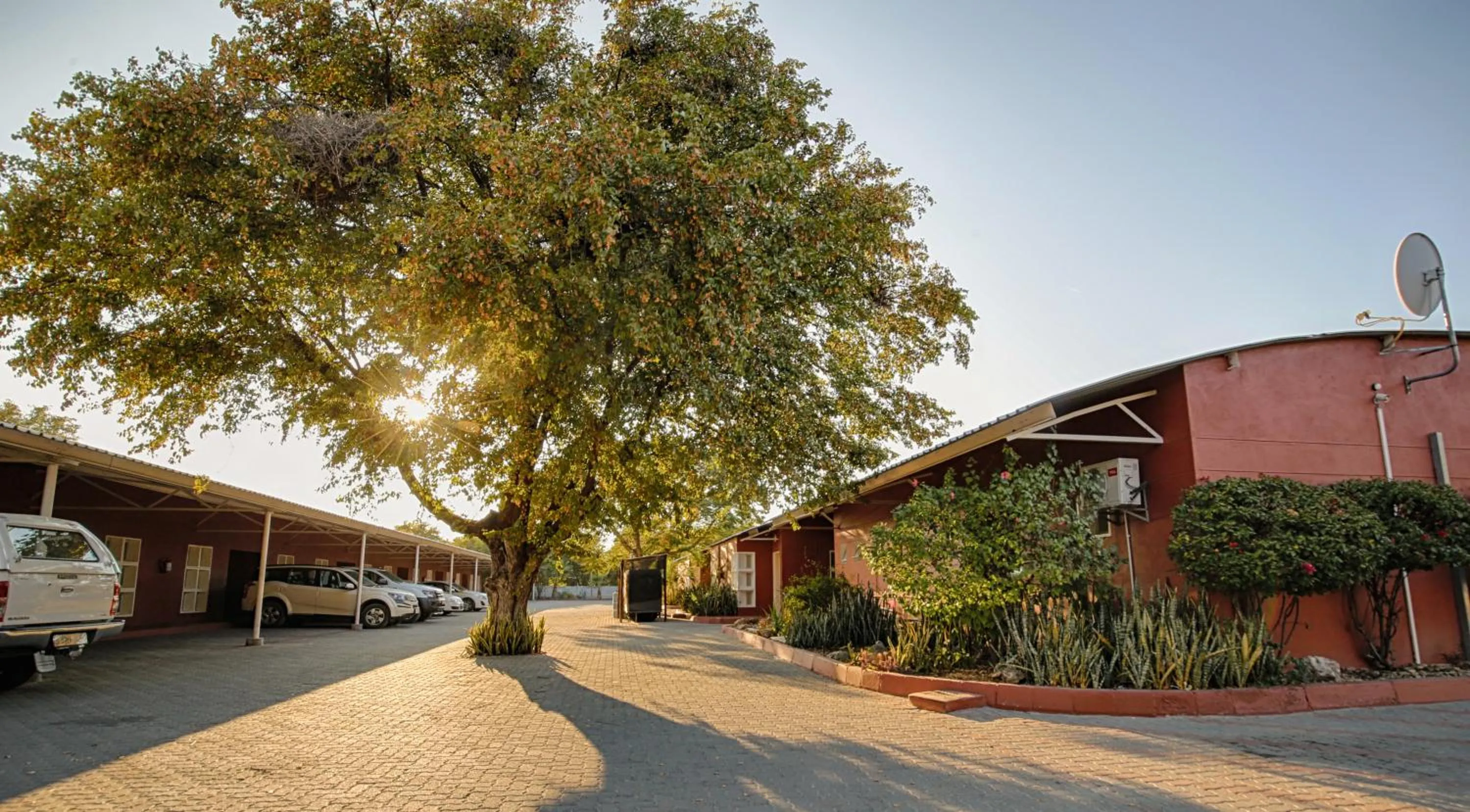Garden in Mokoro Lodge