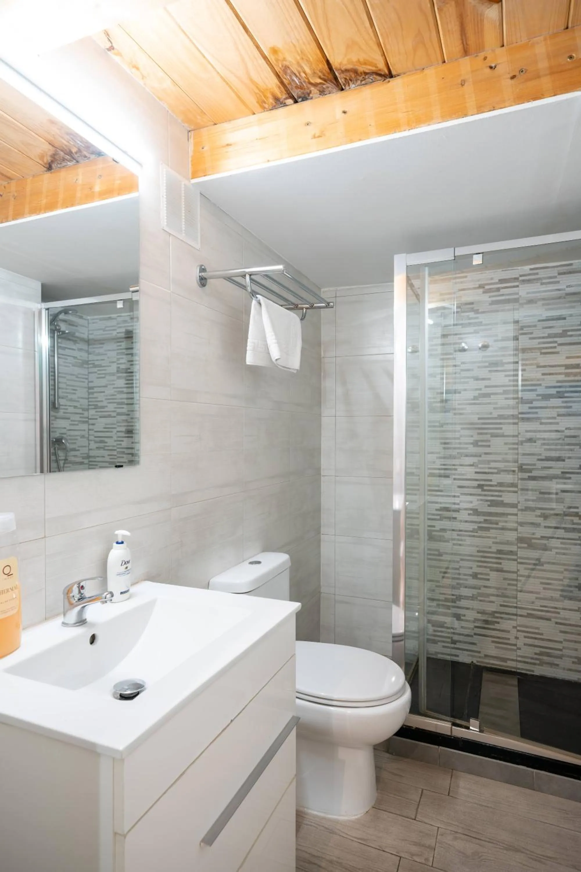 Toilet in Apartamentos GO - Leopoldo Cano Center