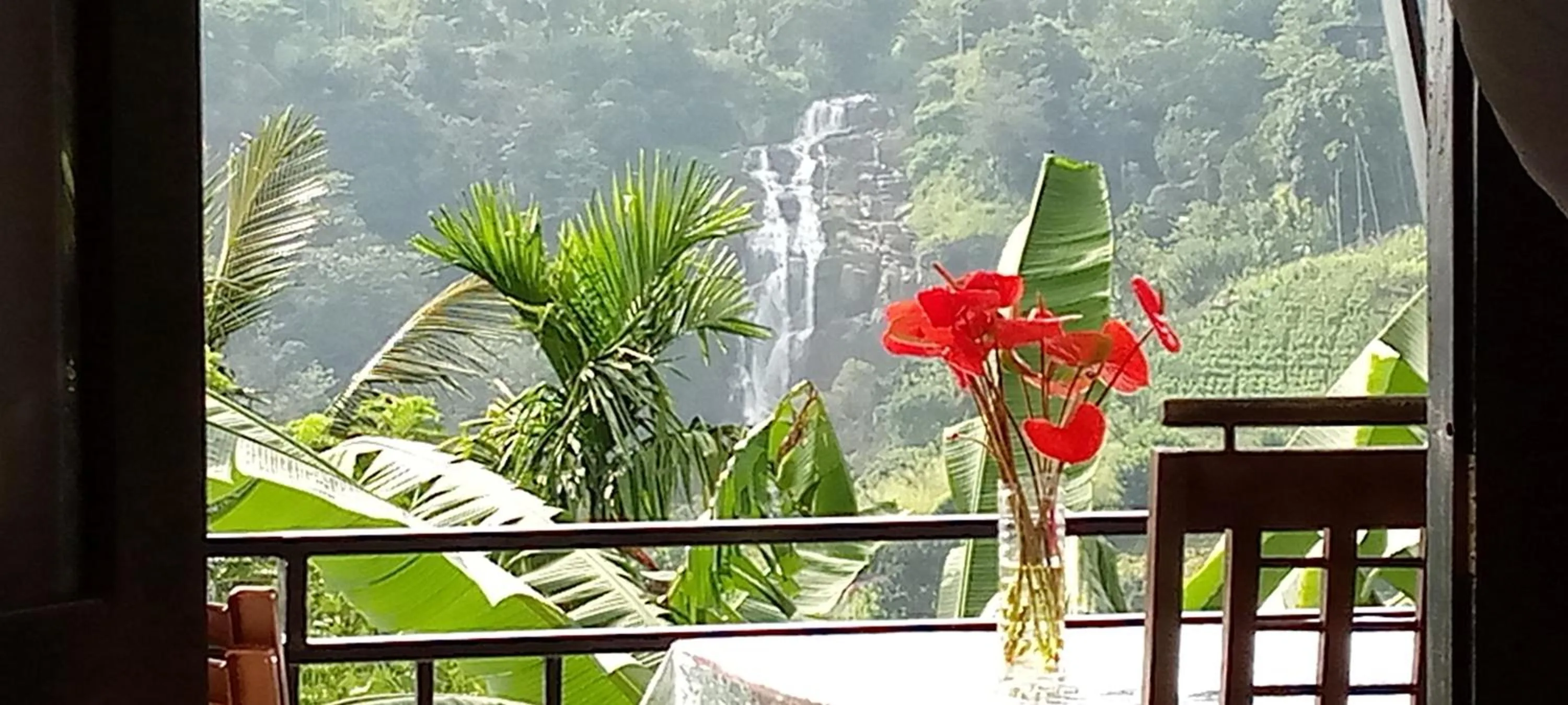 View (from property/room) in Dimuthu Home Stay