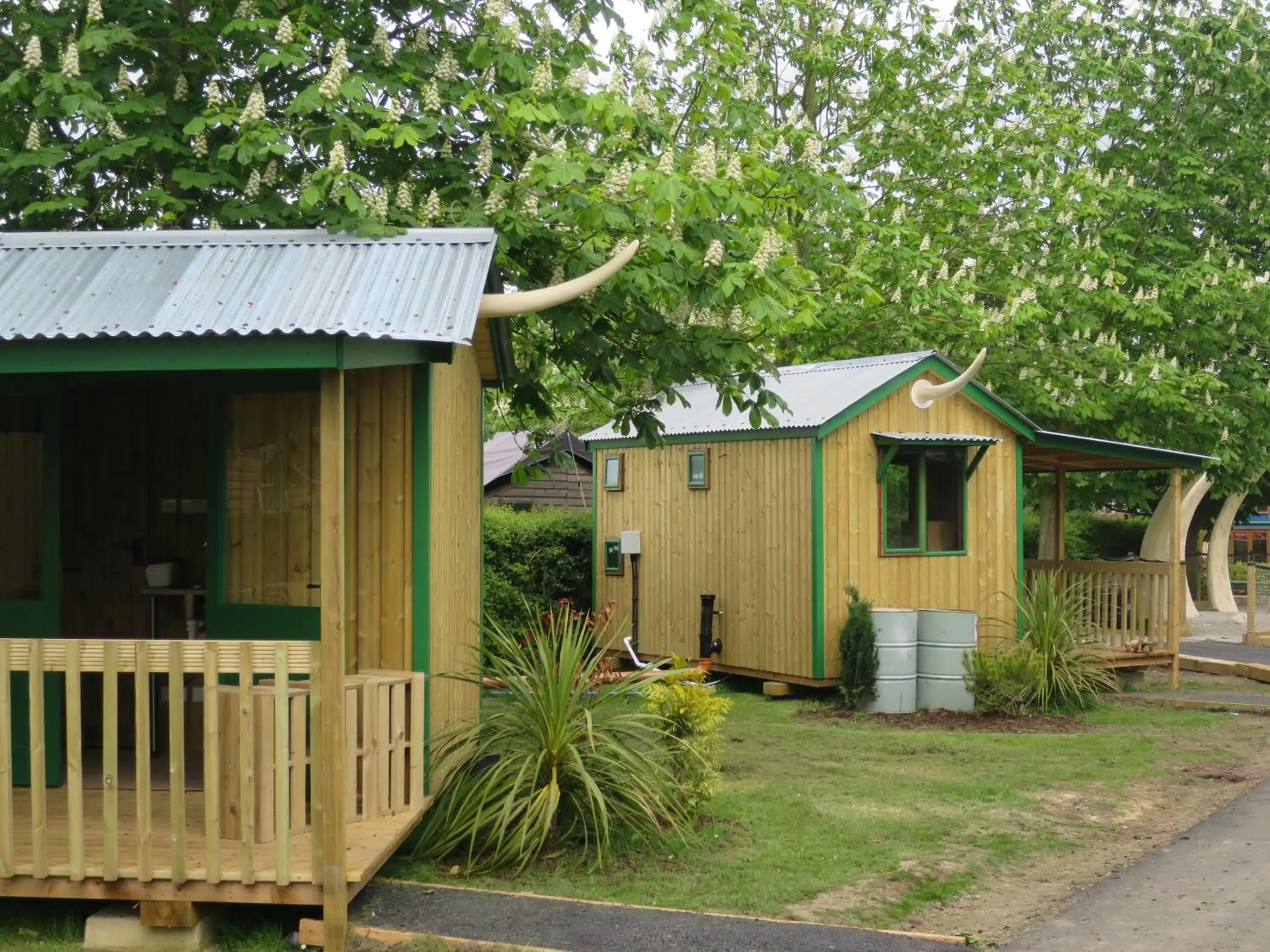 Dino Room in Adventurer's Village Milton Keynes Dino Room in Adventurer's Village Milton Keynes