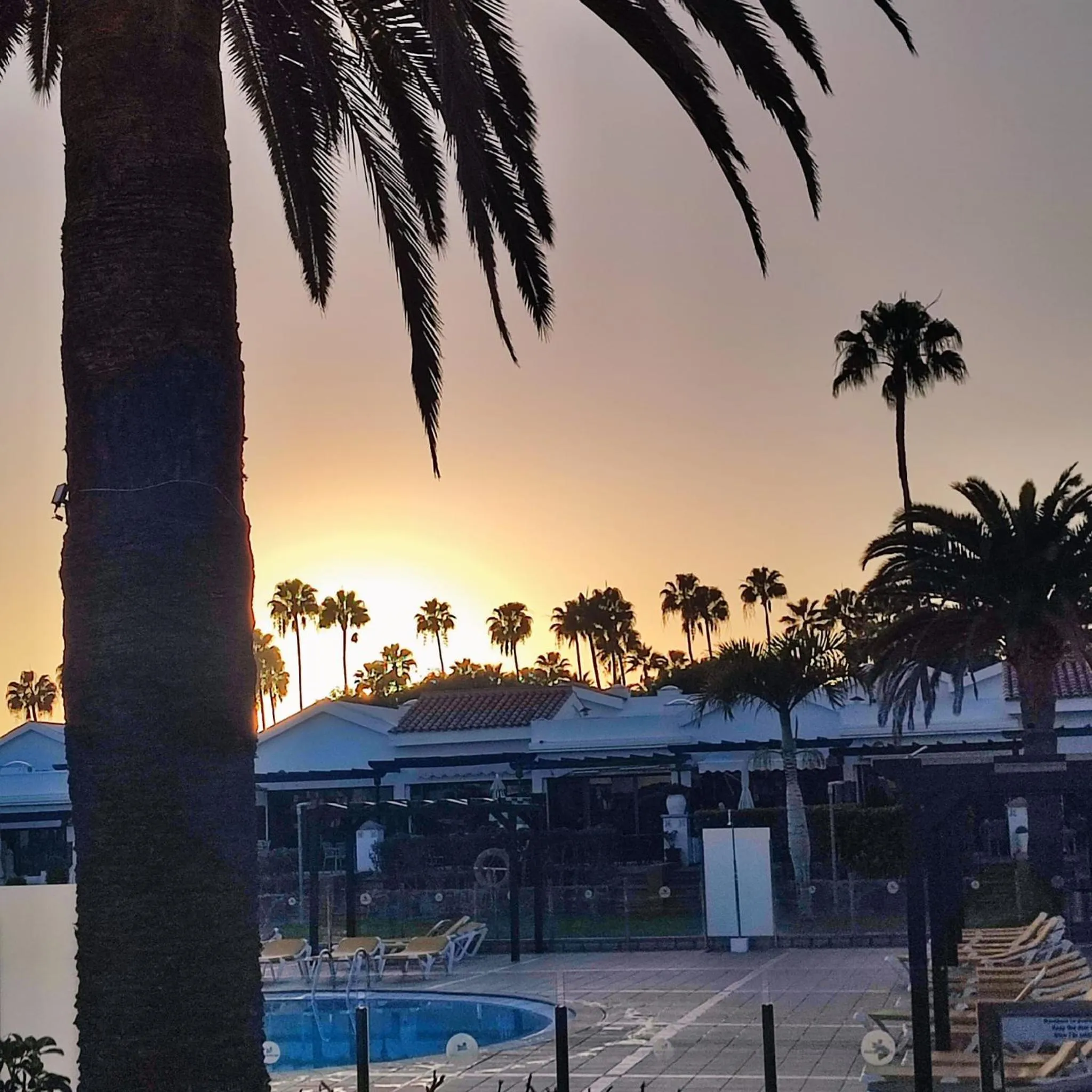 Maspalomas Lago Canary Sunset