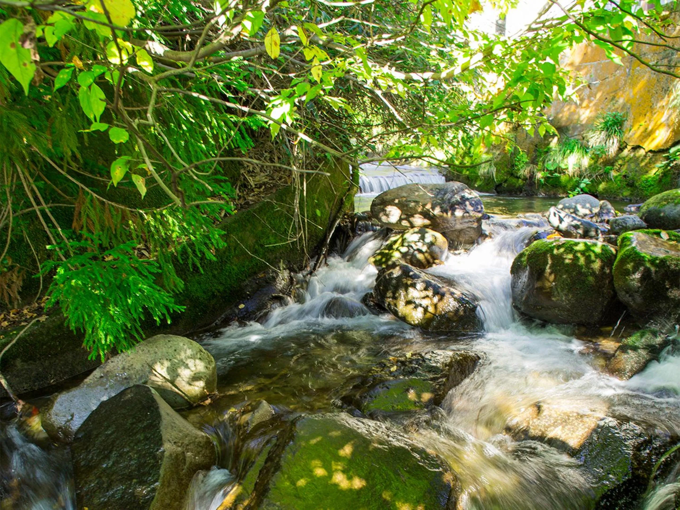 Off site in Oyado Fubuki