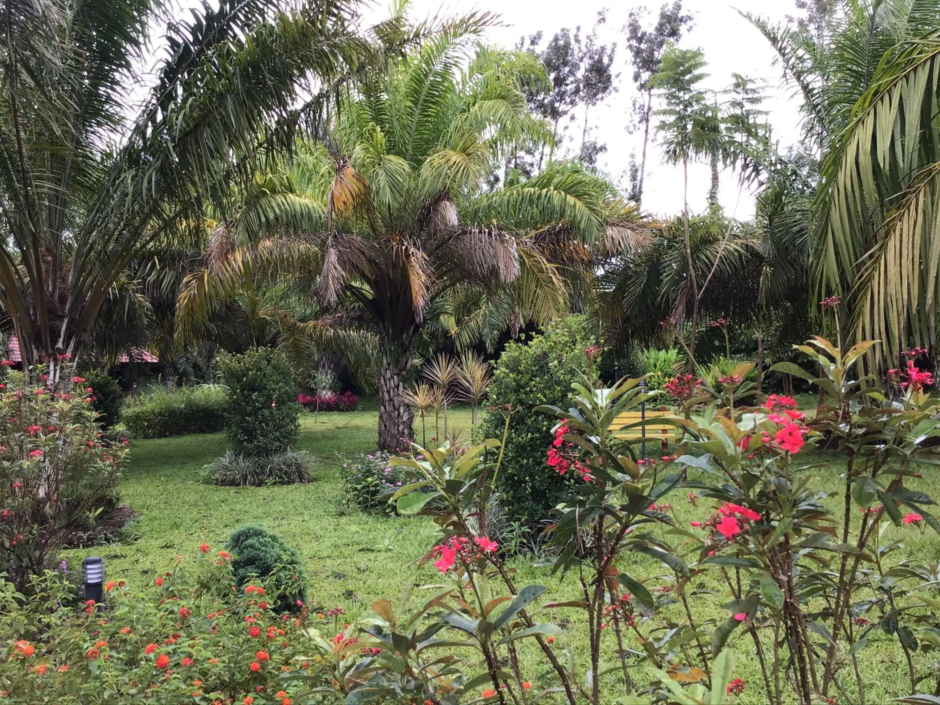 Garden in Palm Era Resorts