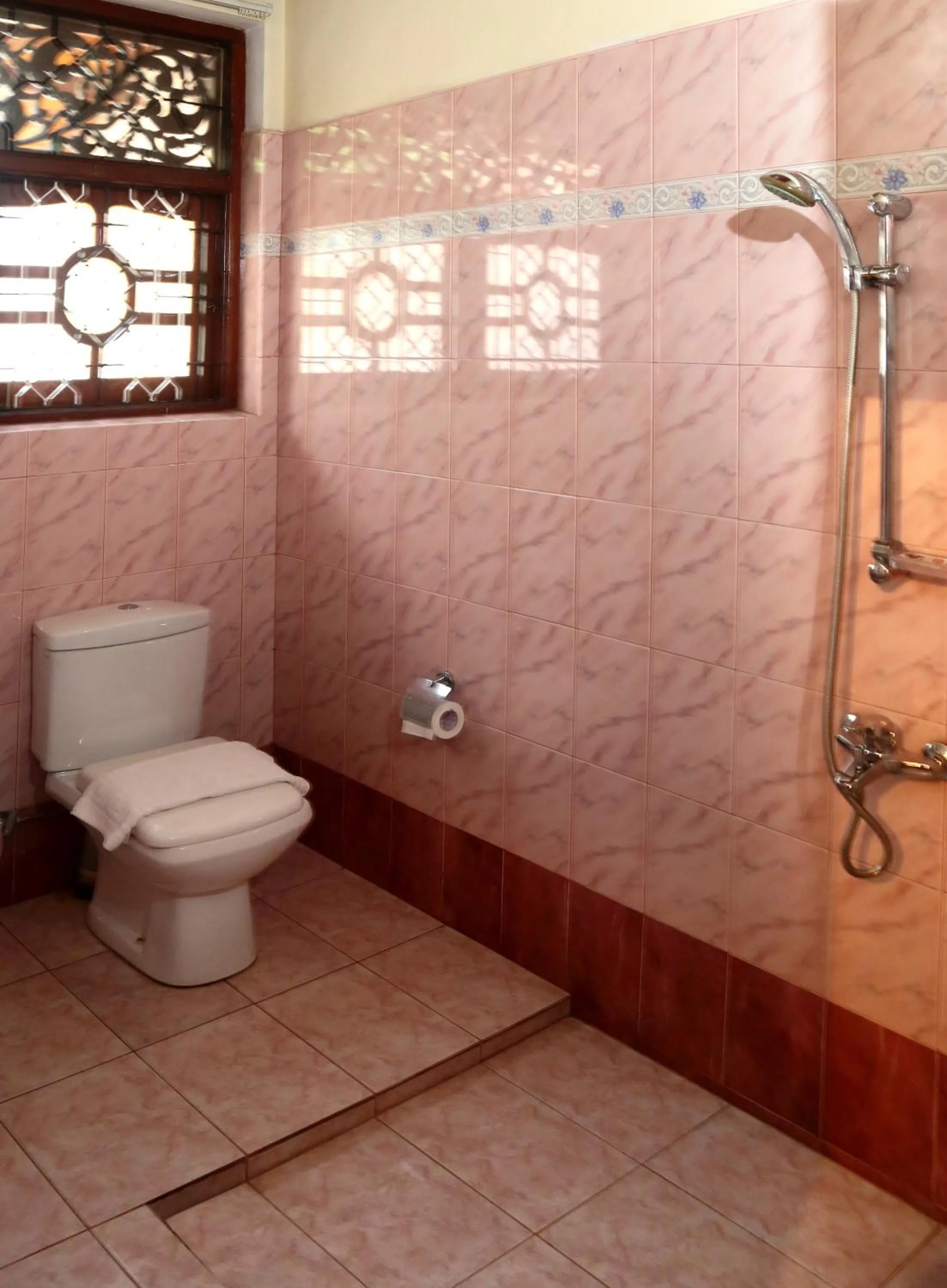 Toilet in The Castle