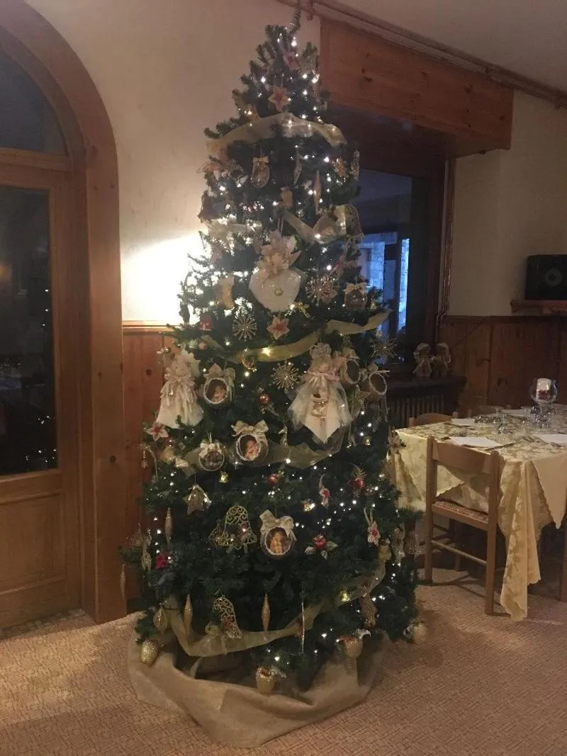 Food and drinks in Hotel Americana