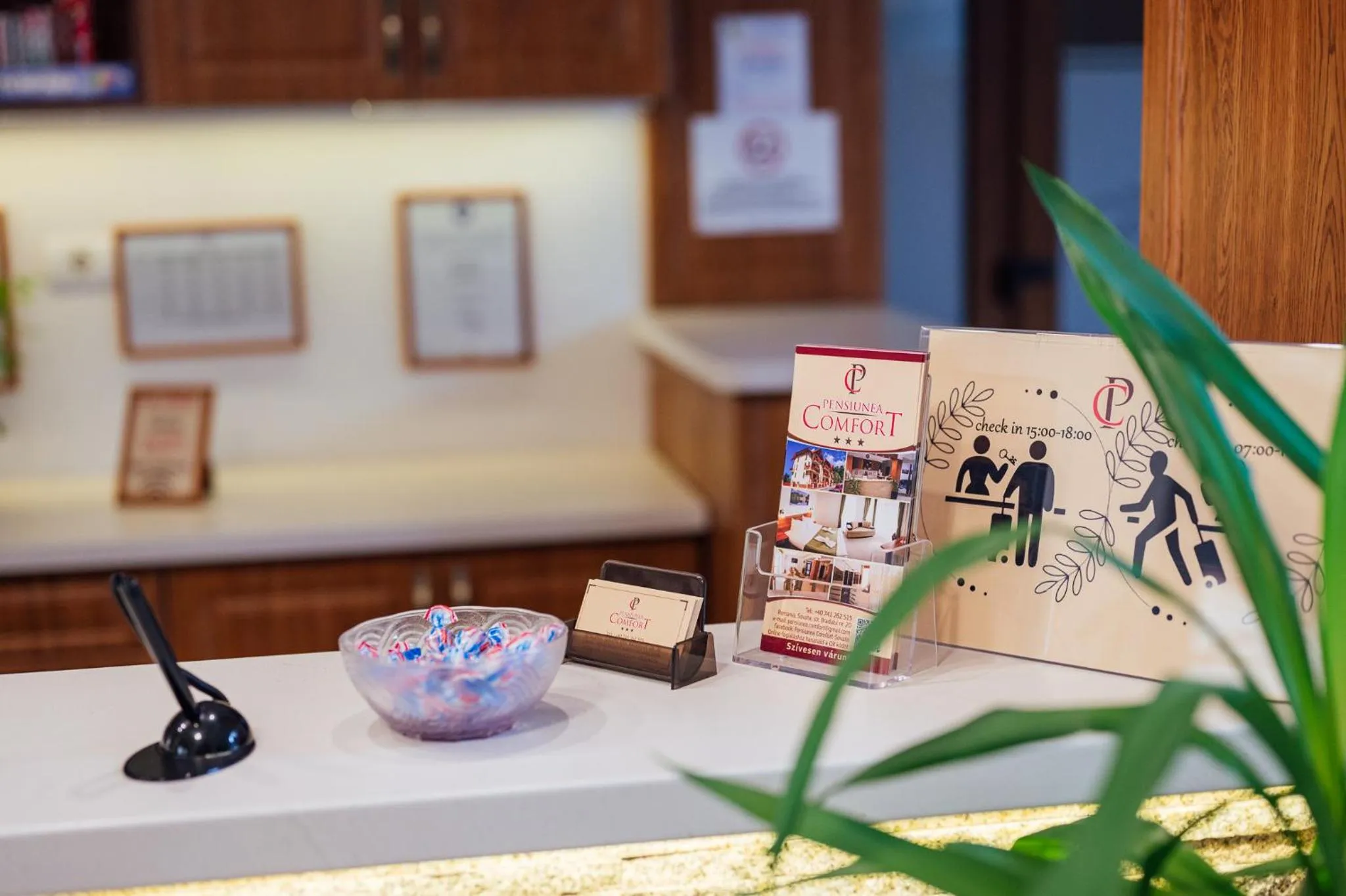 Lobby or reception in Pensiunea Comfort