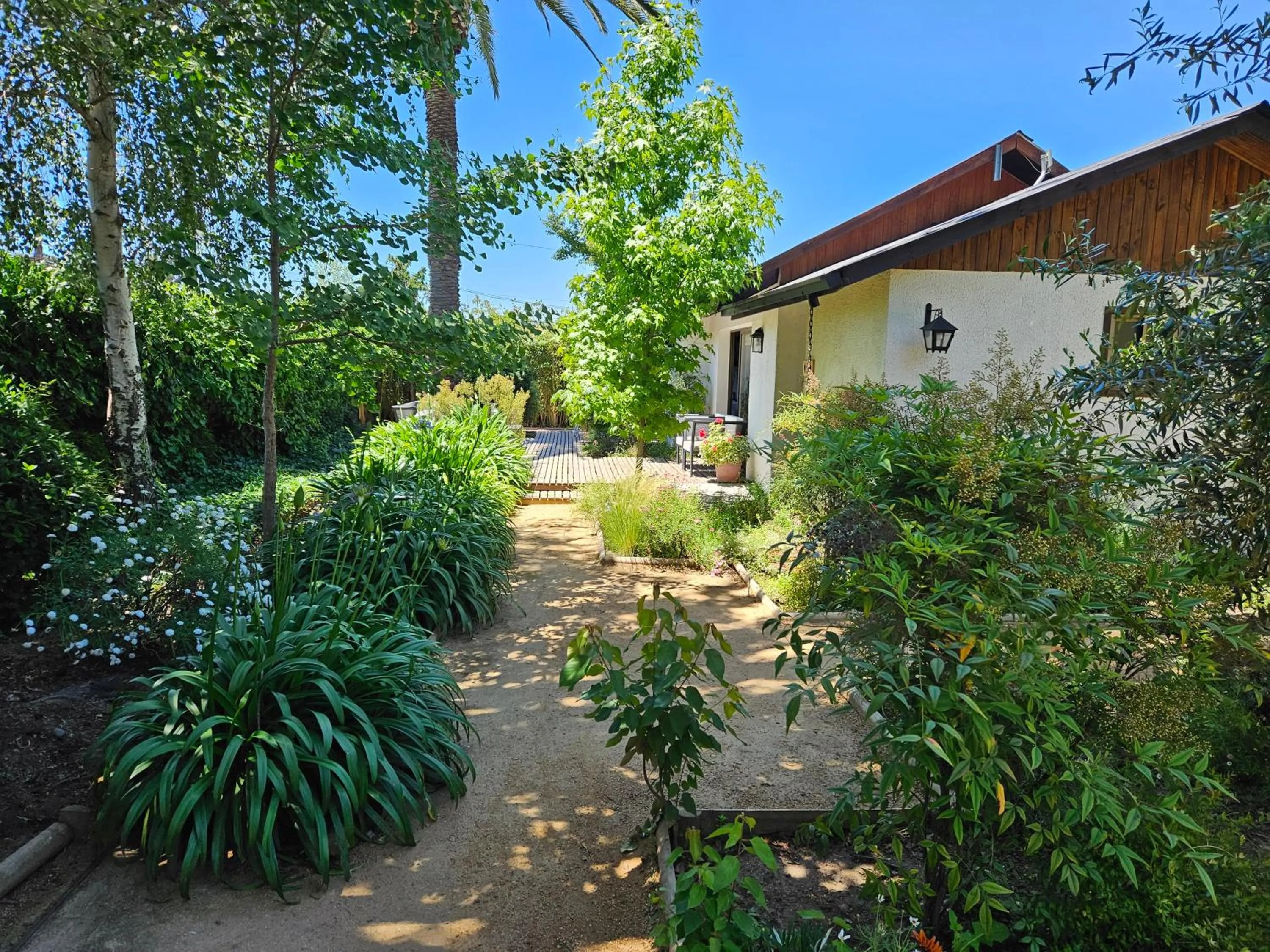 Garden view in Casa Calfu