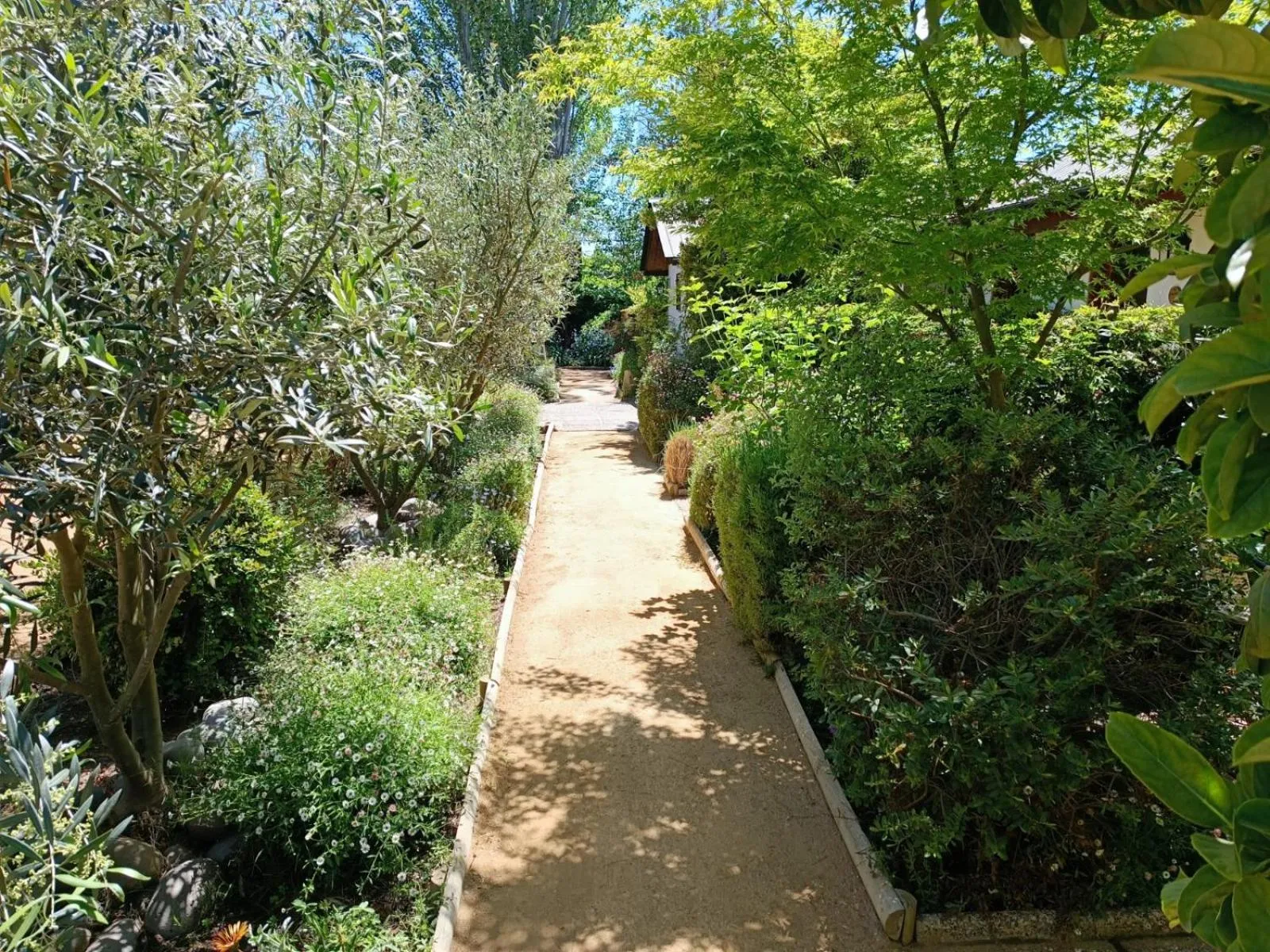 Garden in Casa Calfu