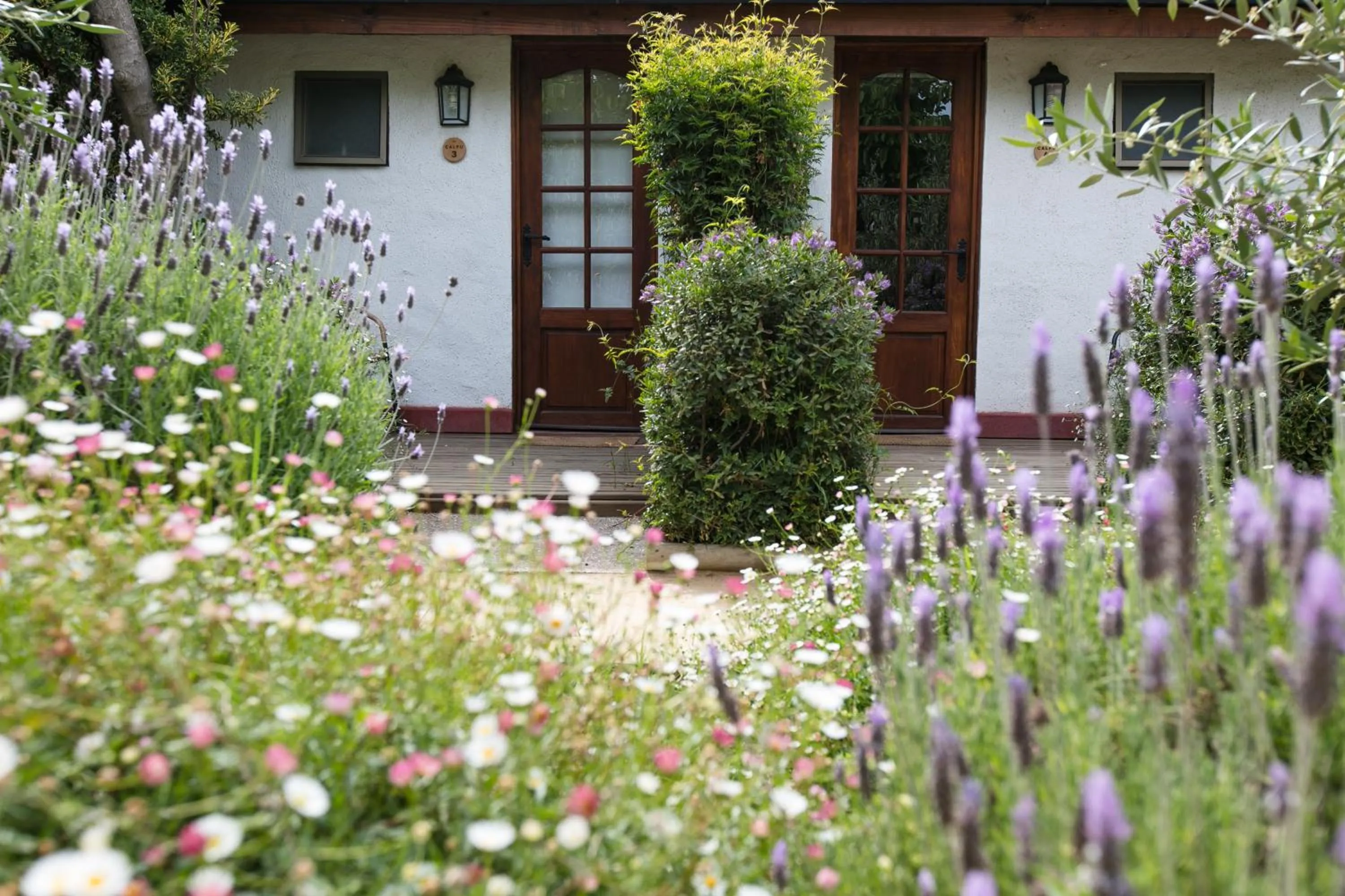 Garden view in Casa Calfu