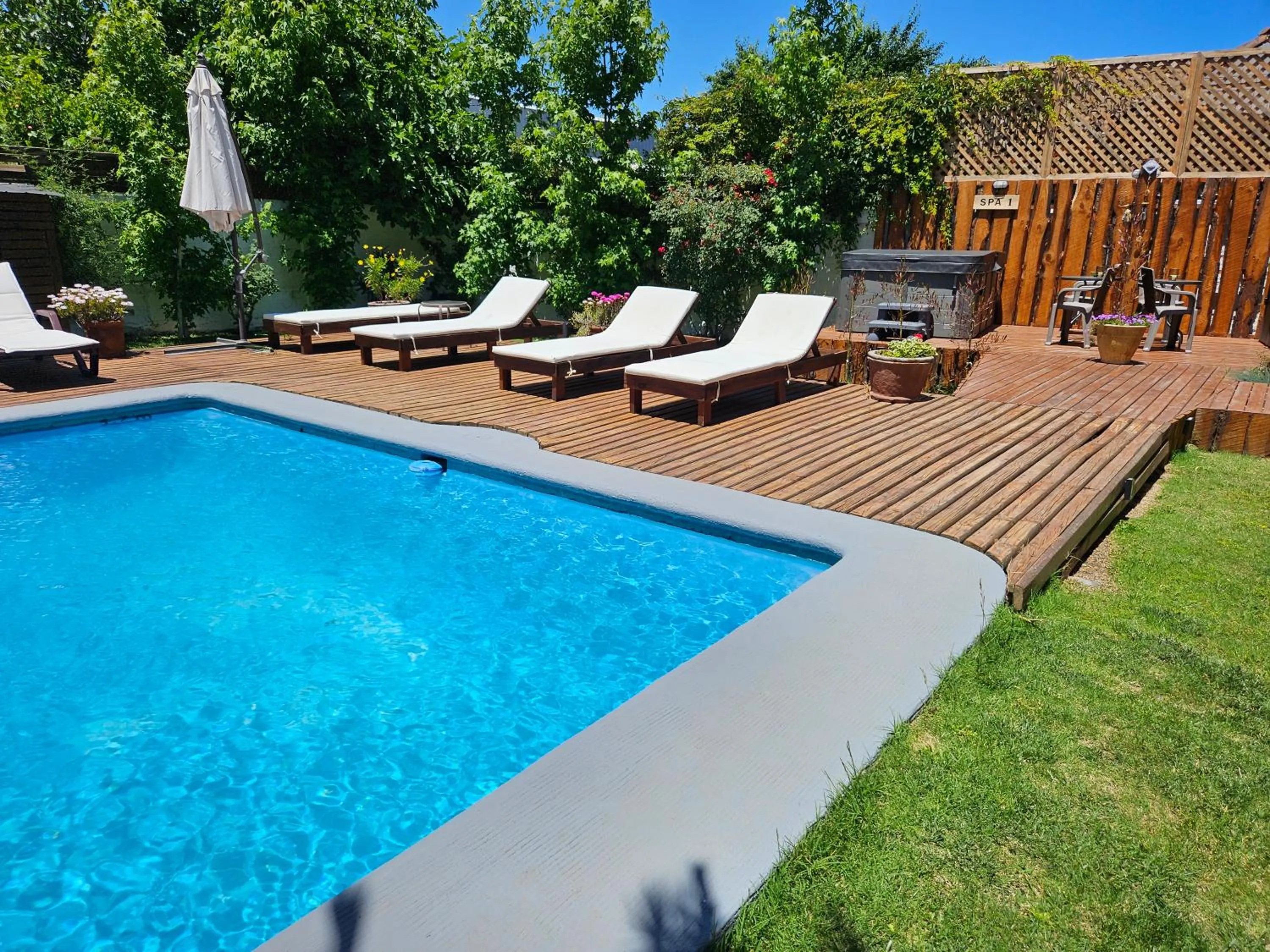 Pool view in Casa Calfu
