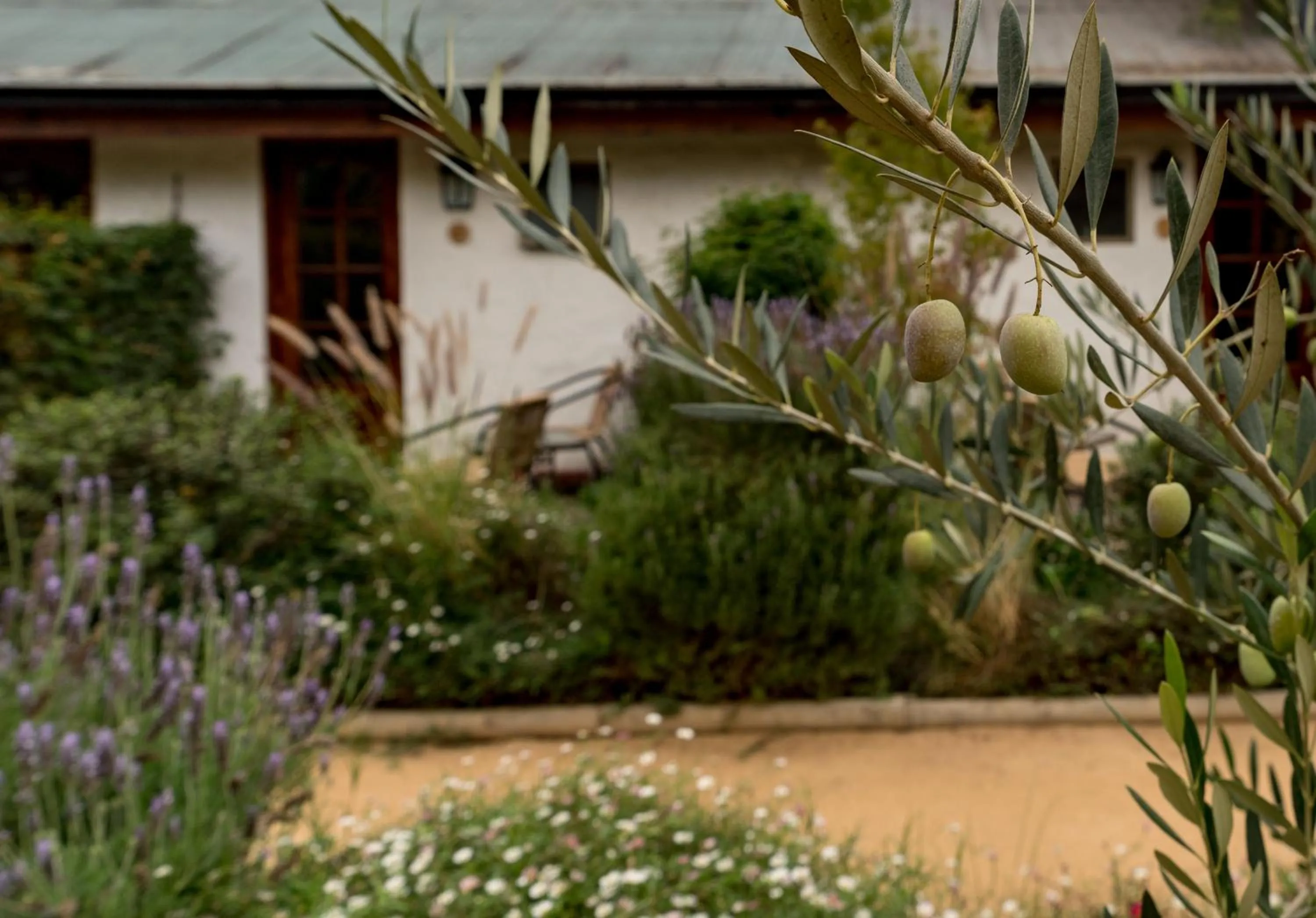 Garden view in Casa Calfu