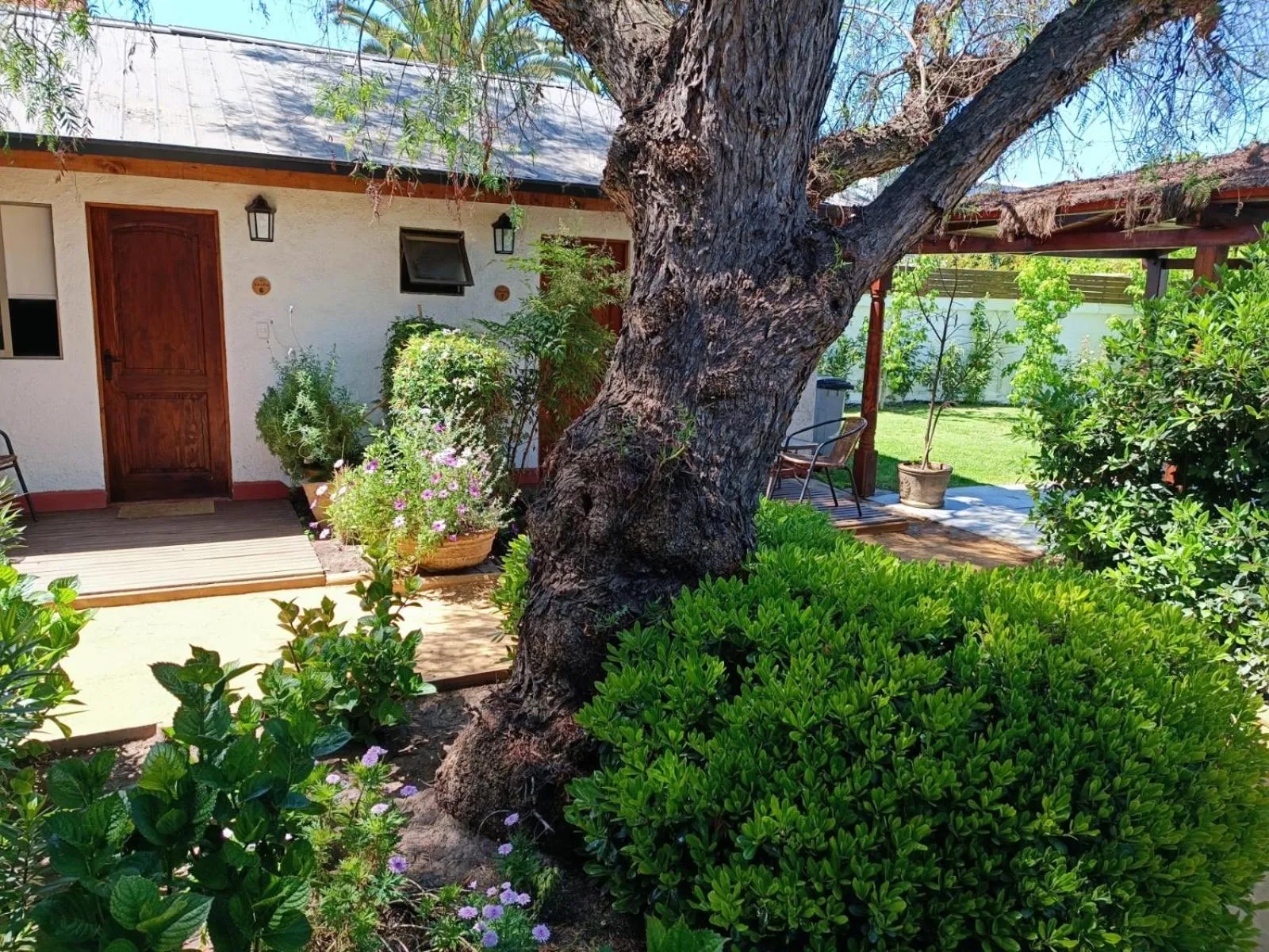 Garden in Casa Calfu