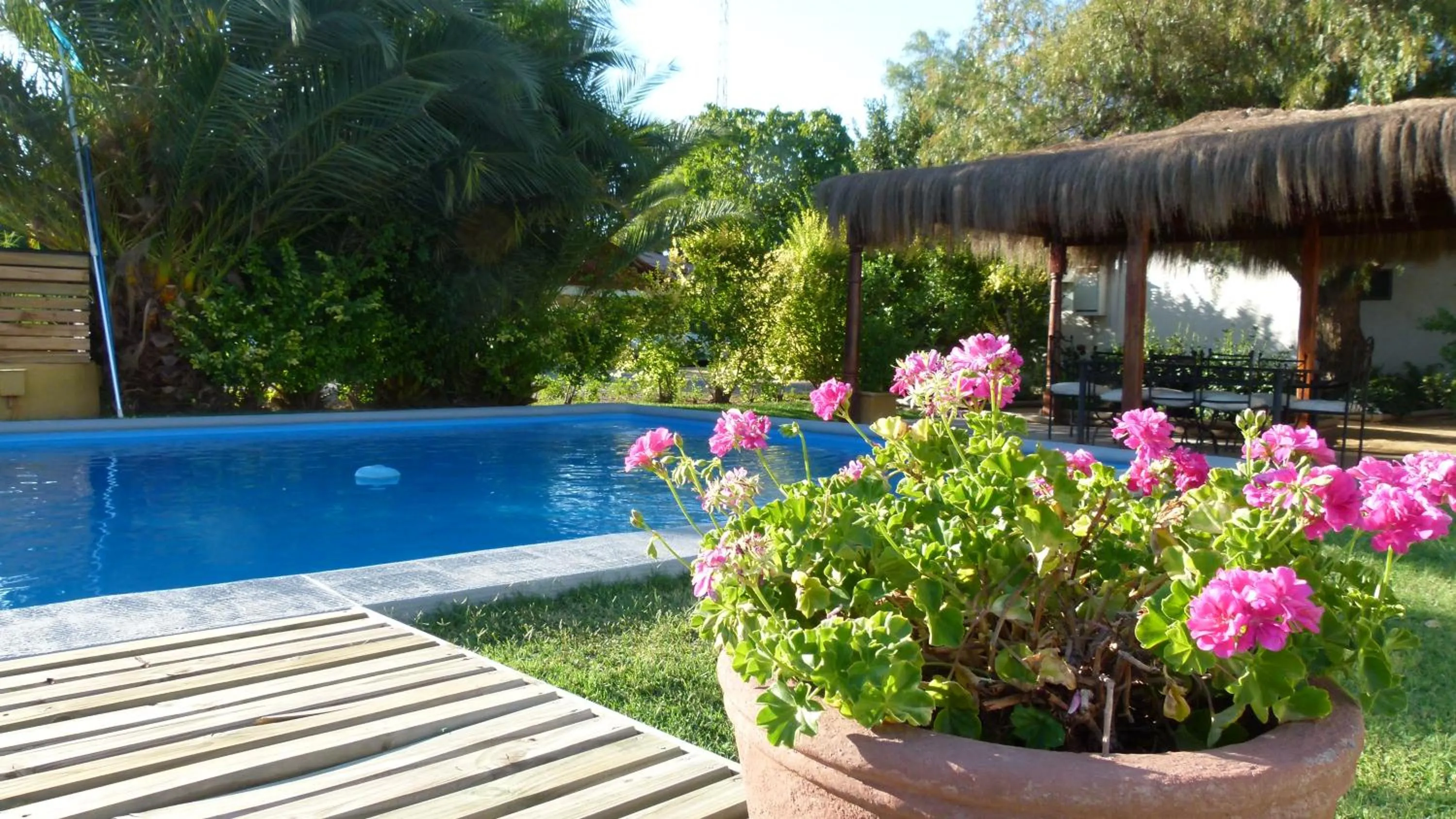 Swimming pool in Casa Calfu