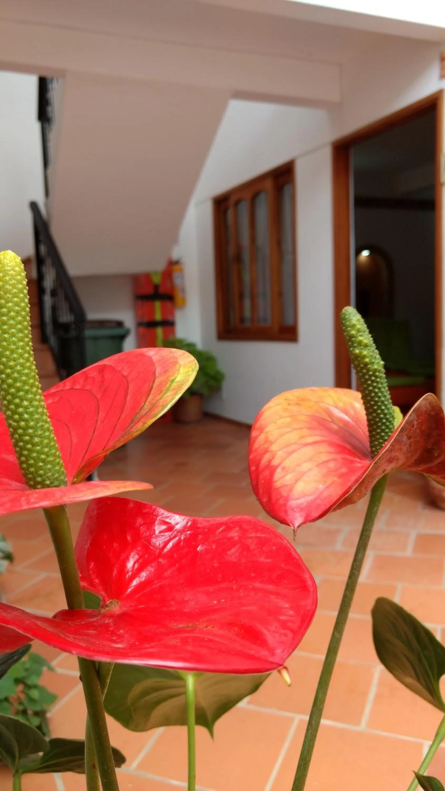 Apartahotel La Gran Familia