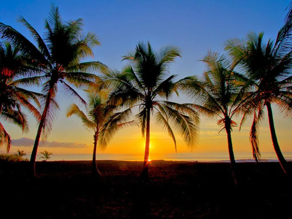 Beach in Iguana Lodge Beach Resort