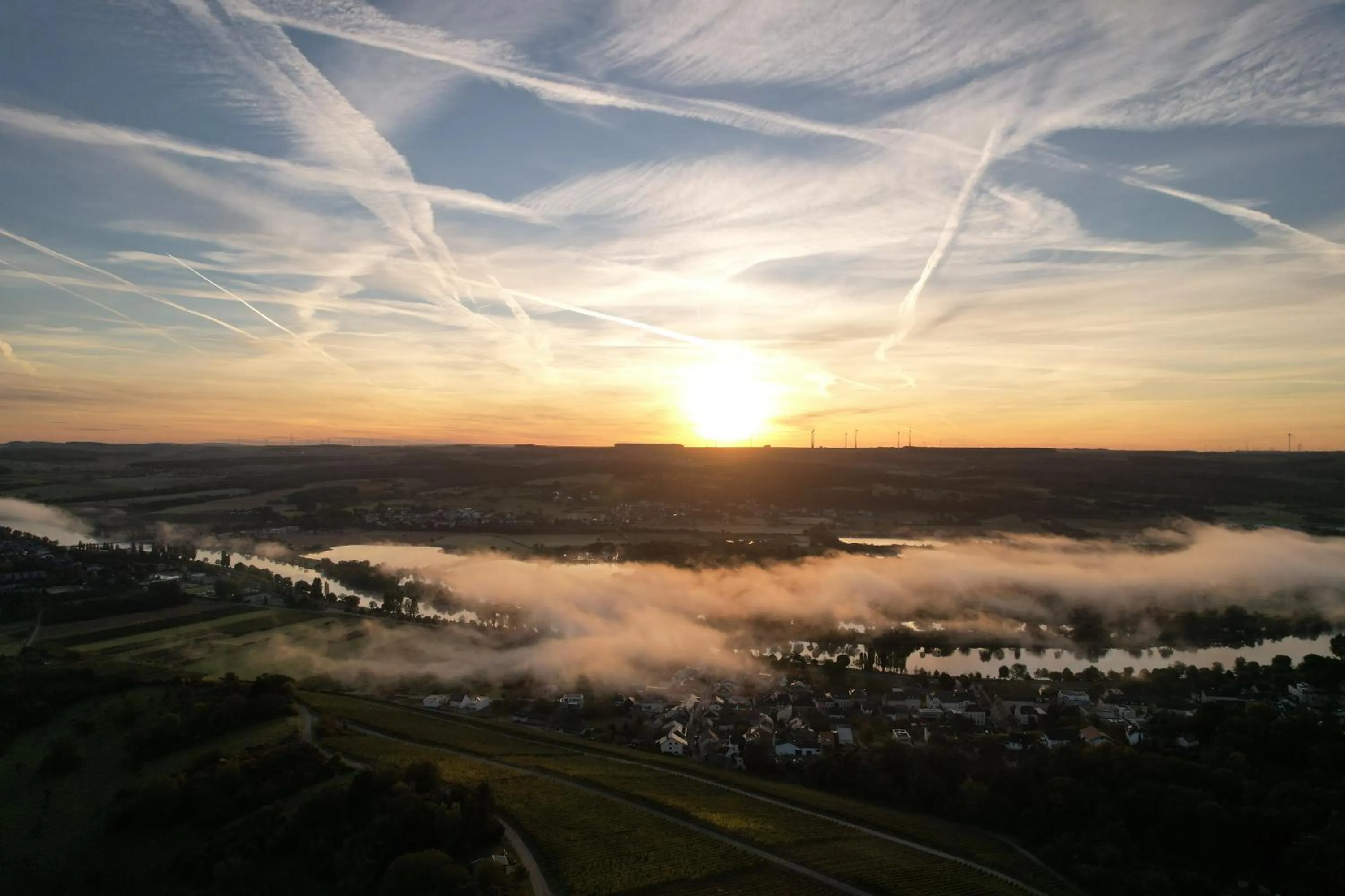 Spring in Domaine de la Forêt
