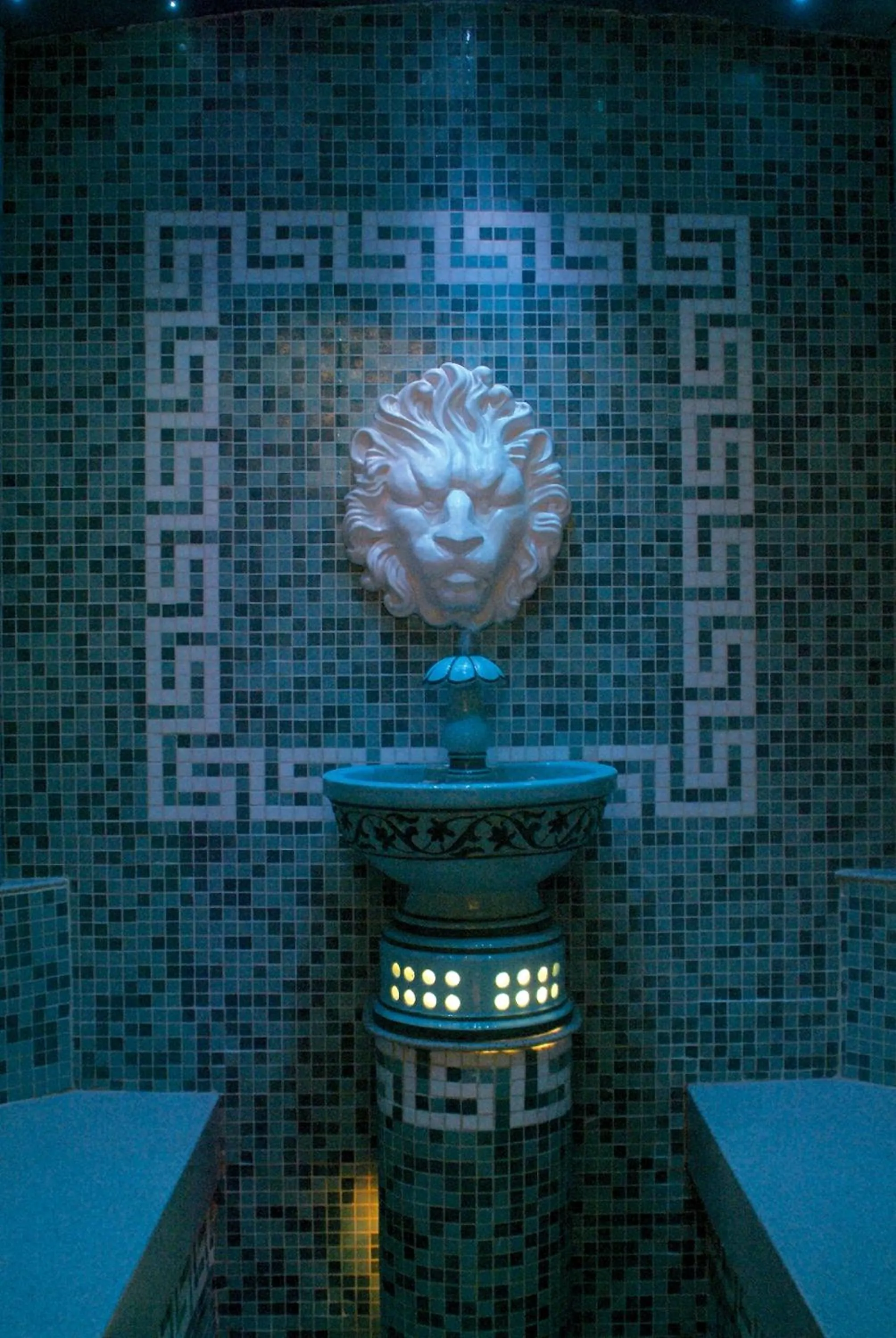 Steam room in Domaine de la Forêt