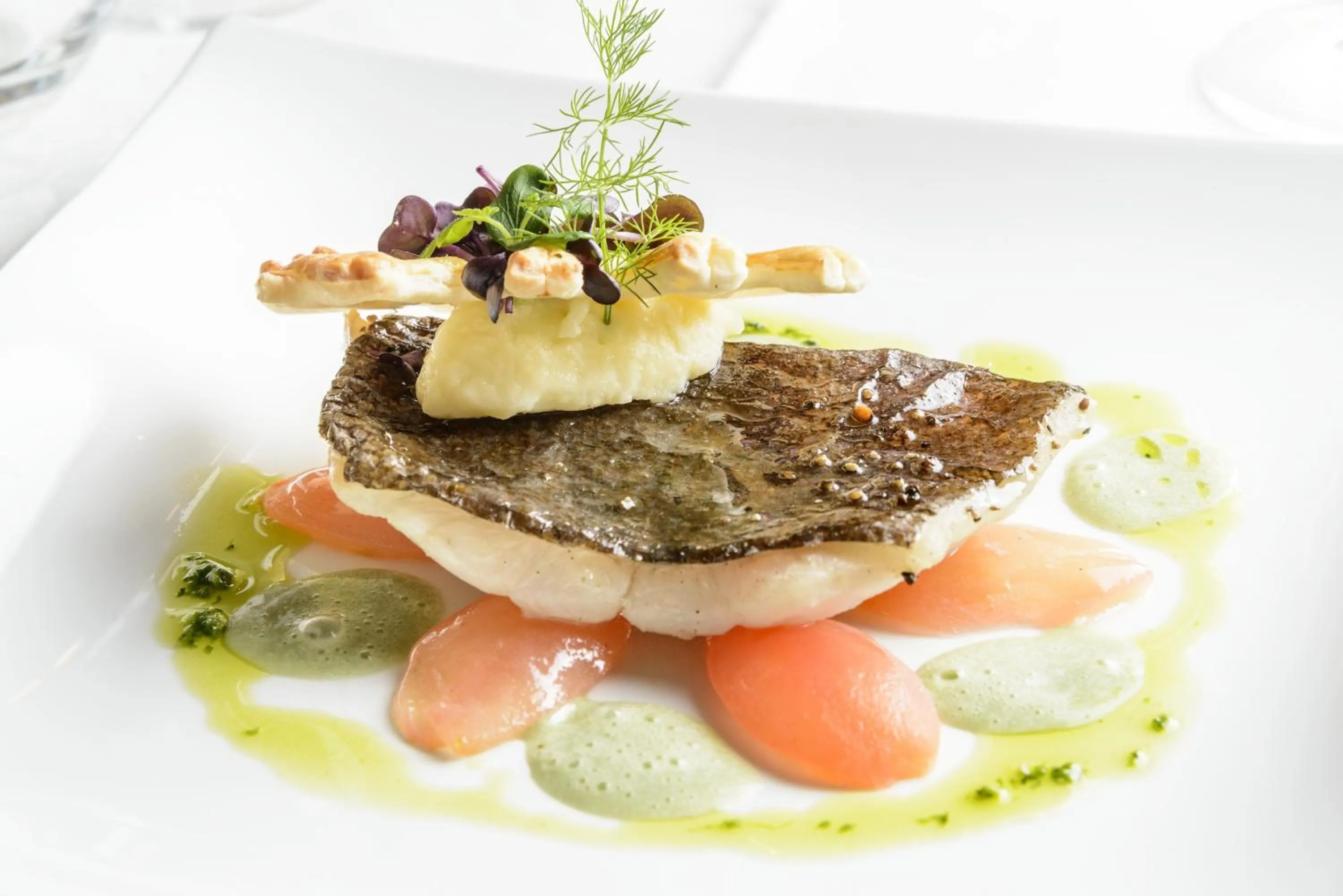 Food close-up in Domaine de la Forêt