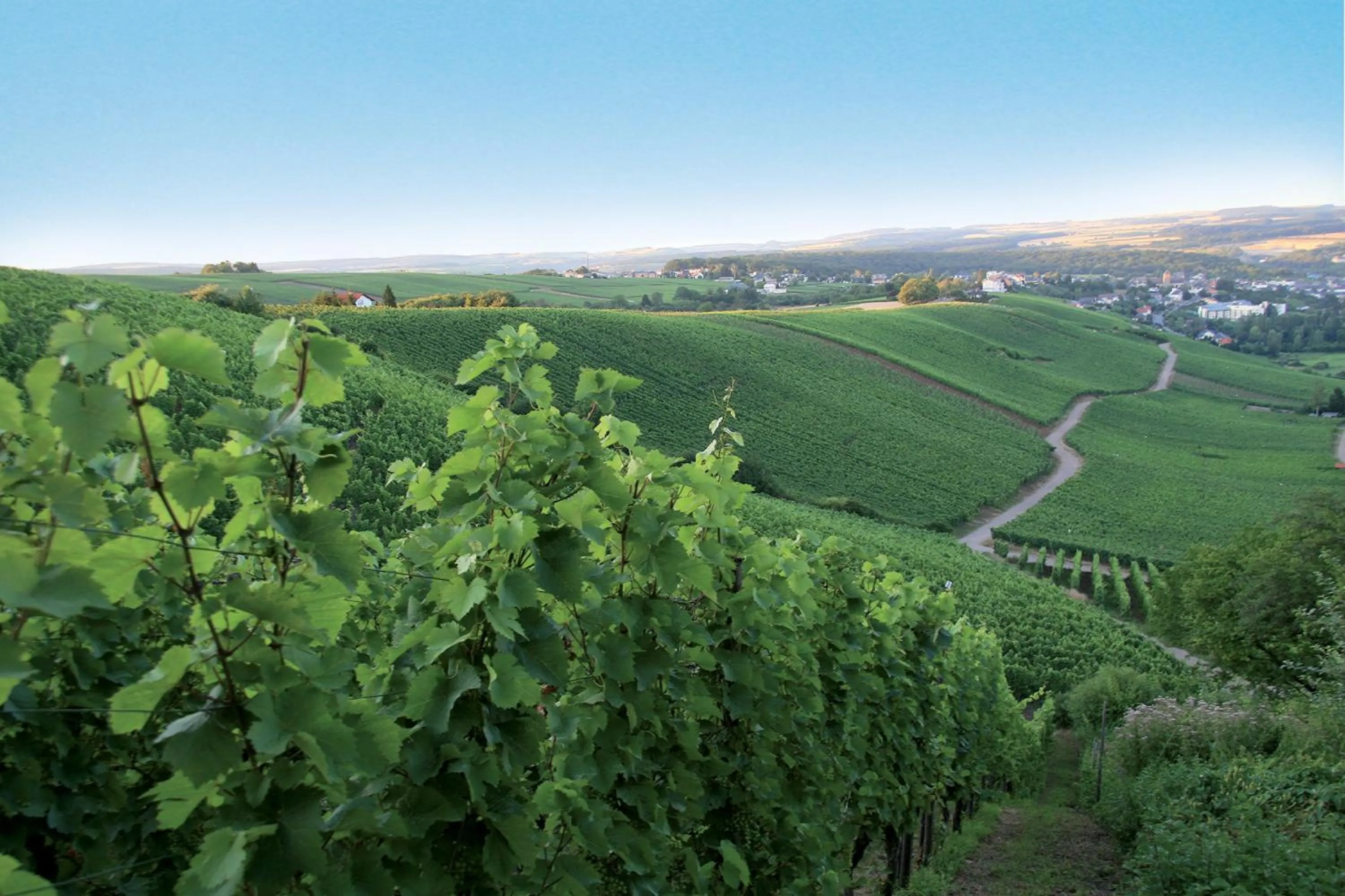 Natural landscape in Domaine de la Forêt
