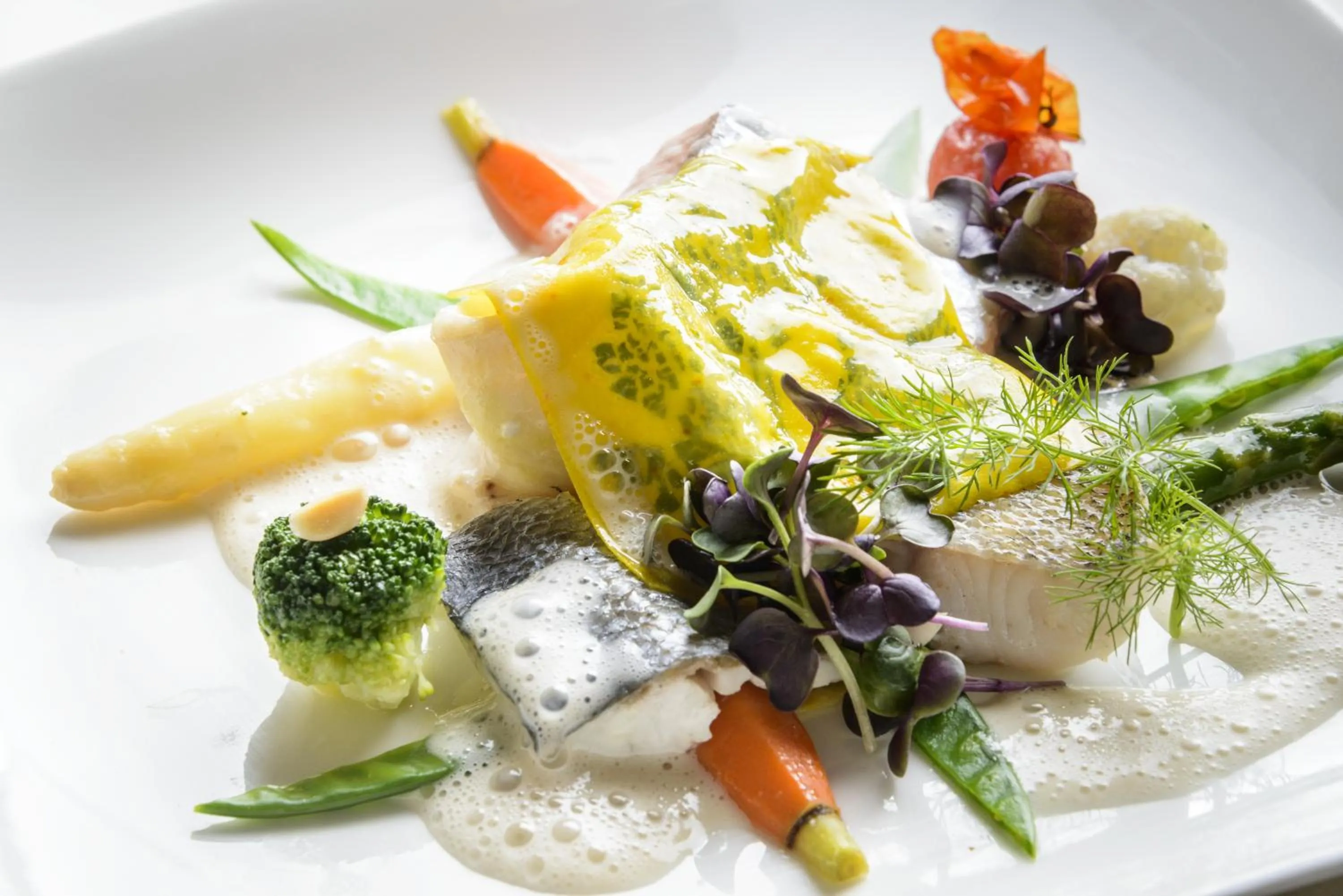 Food close-up in Domaine de la Forêt