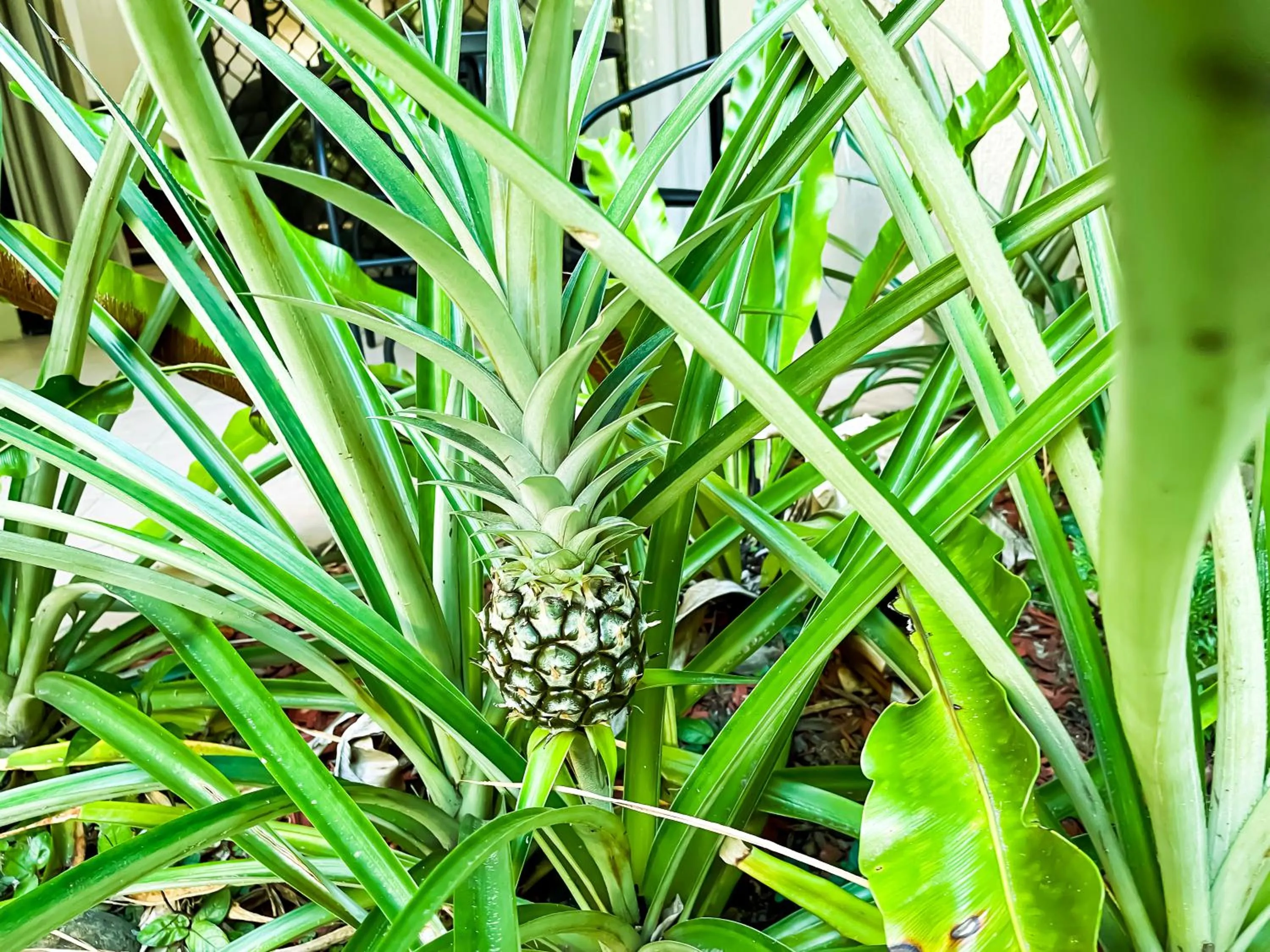 Day in Trinity Links Resort