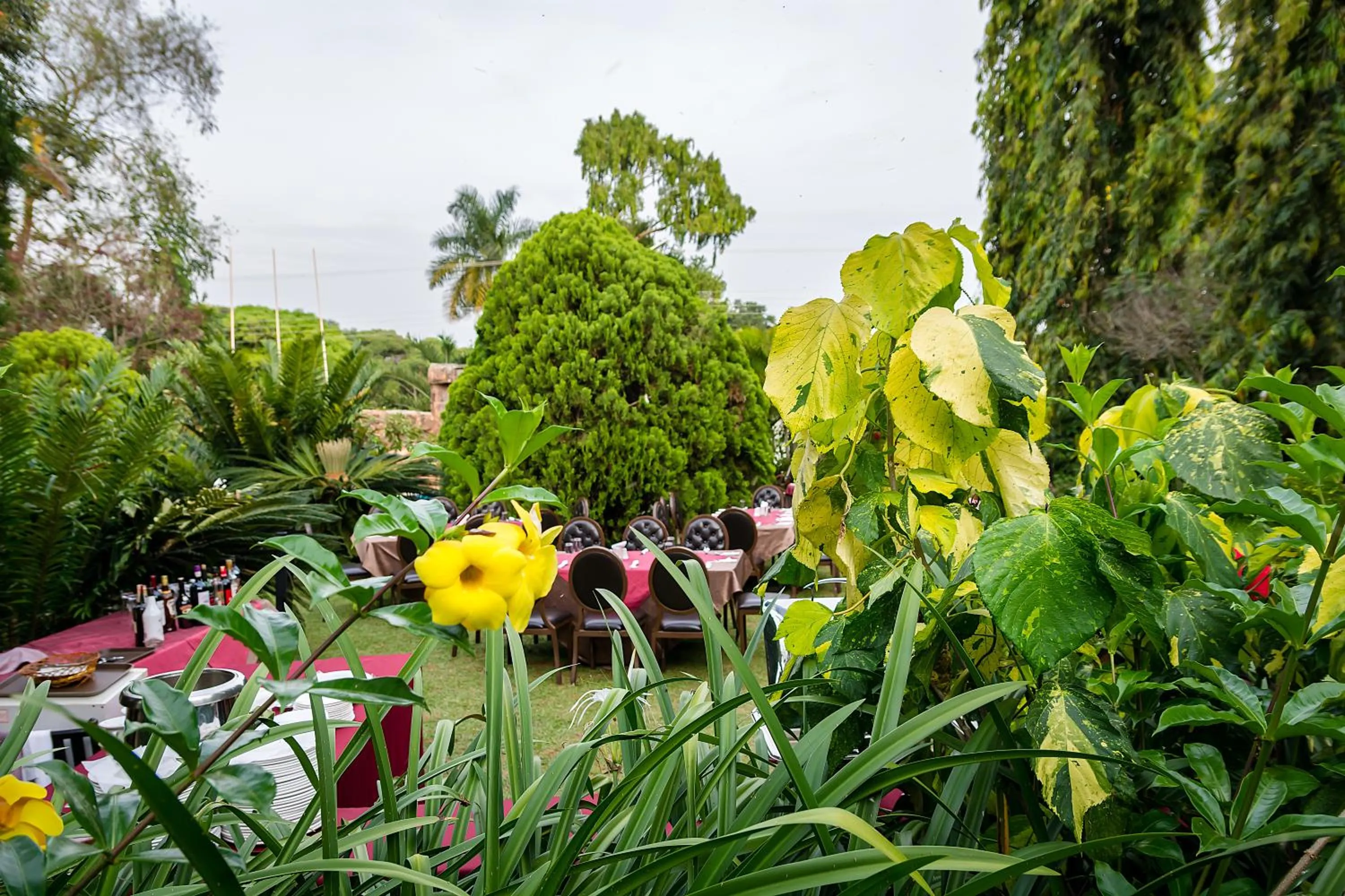 Garden in Imperial Heights Hotel, Entebbe