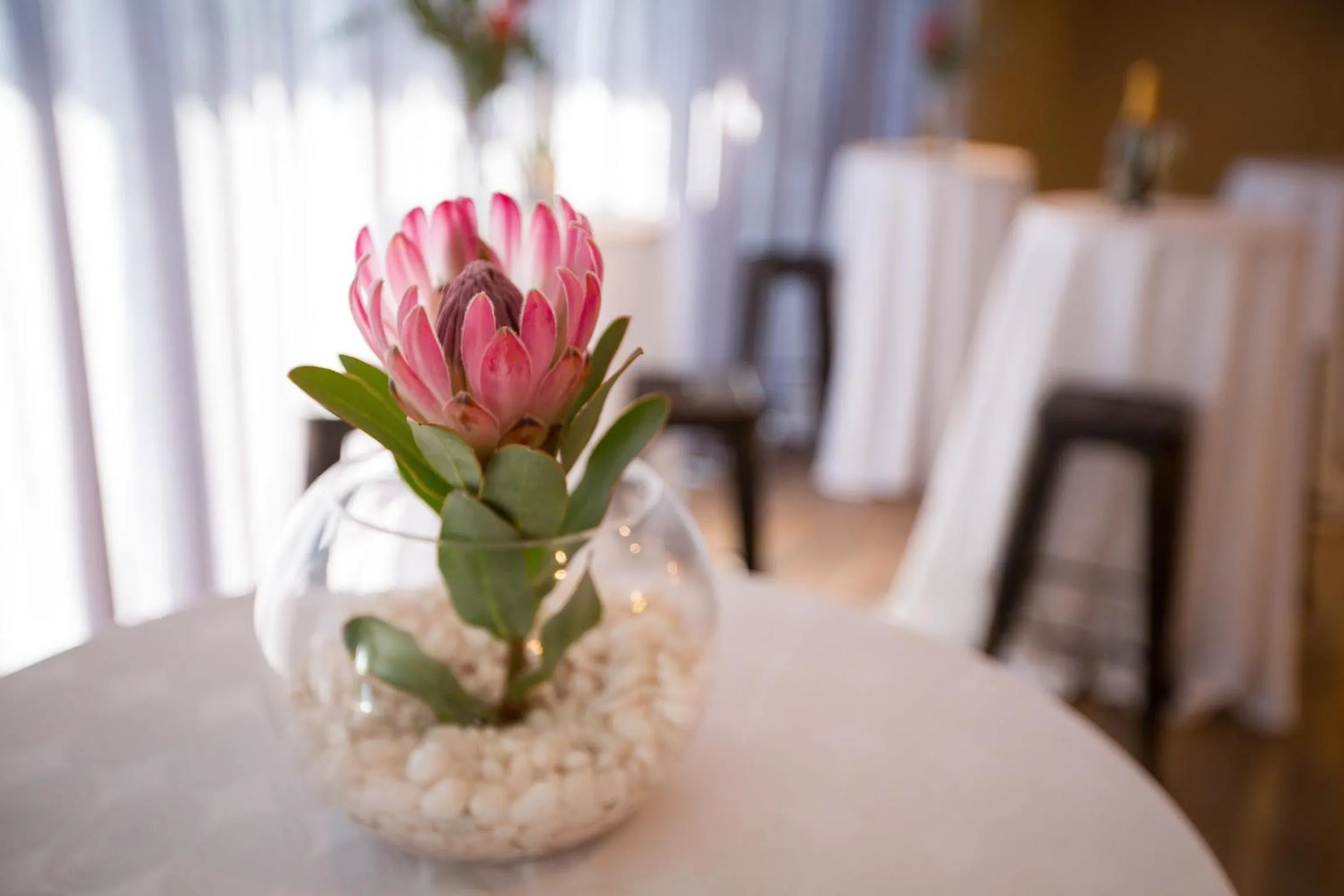 Restaurant/places to eat in New National Hotel and Conference