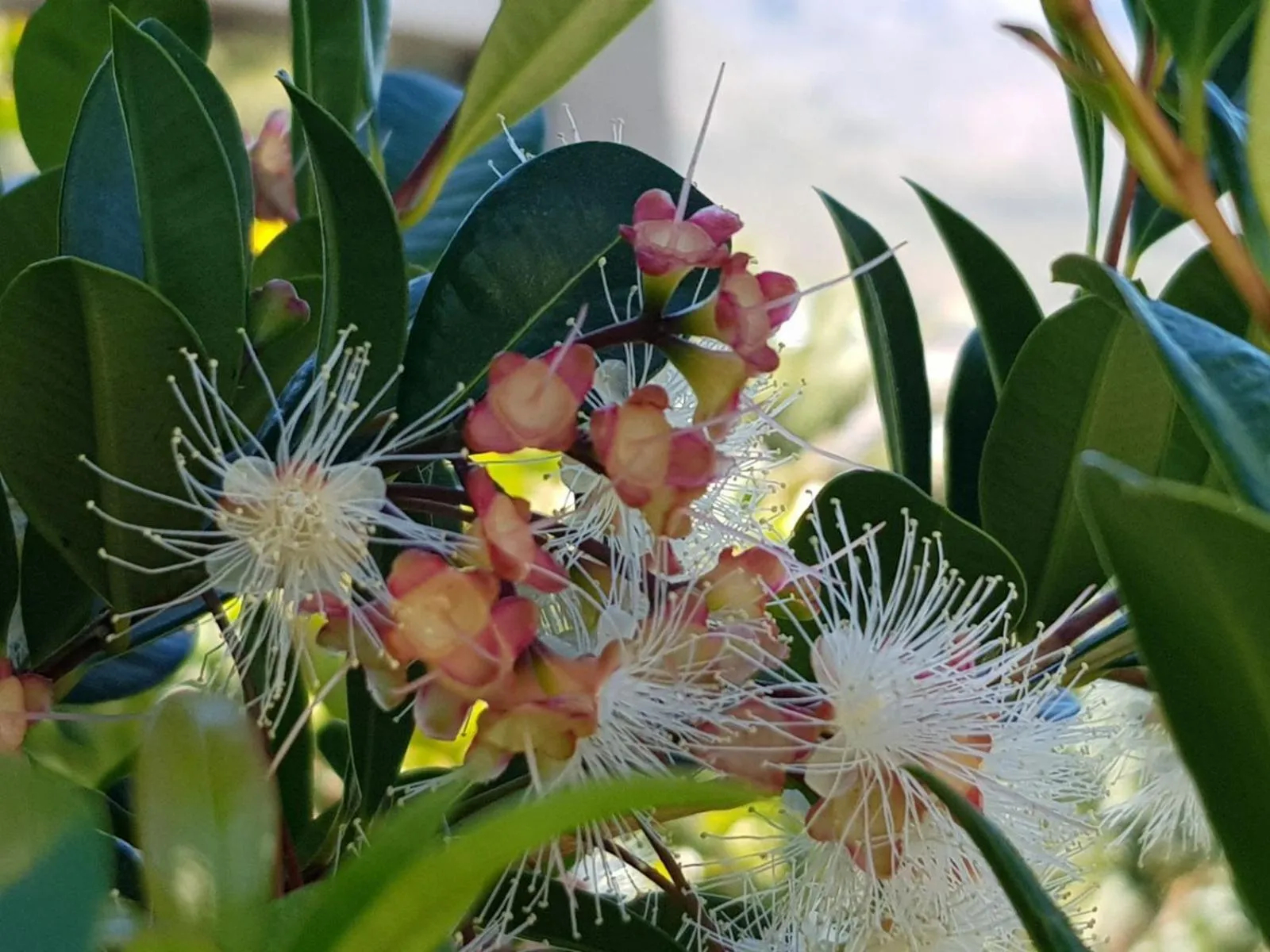 Decorative detail in Victorskloof Lodge