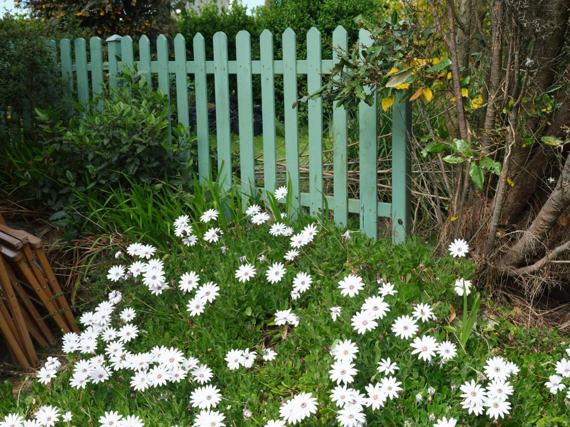 Quiet street view in Les Roses