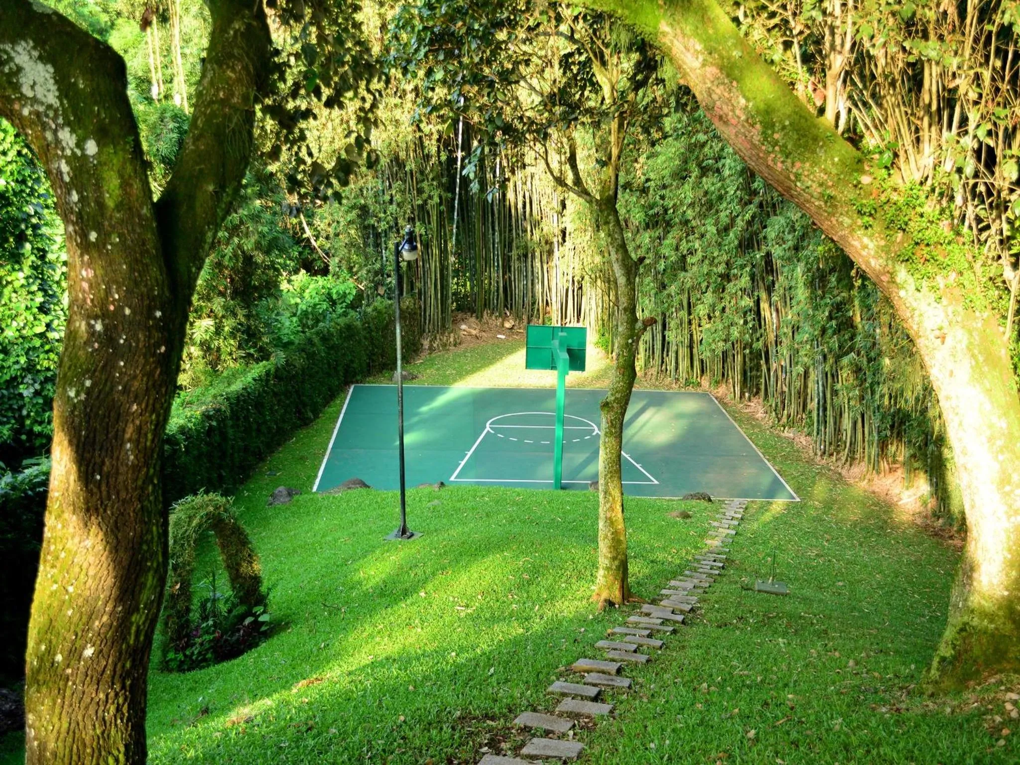 Natural landscape in Villas Layfer, Córdoba, Veracruz, Mexico