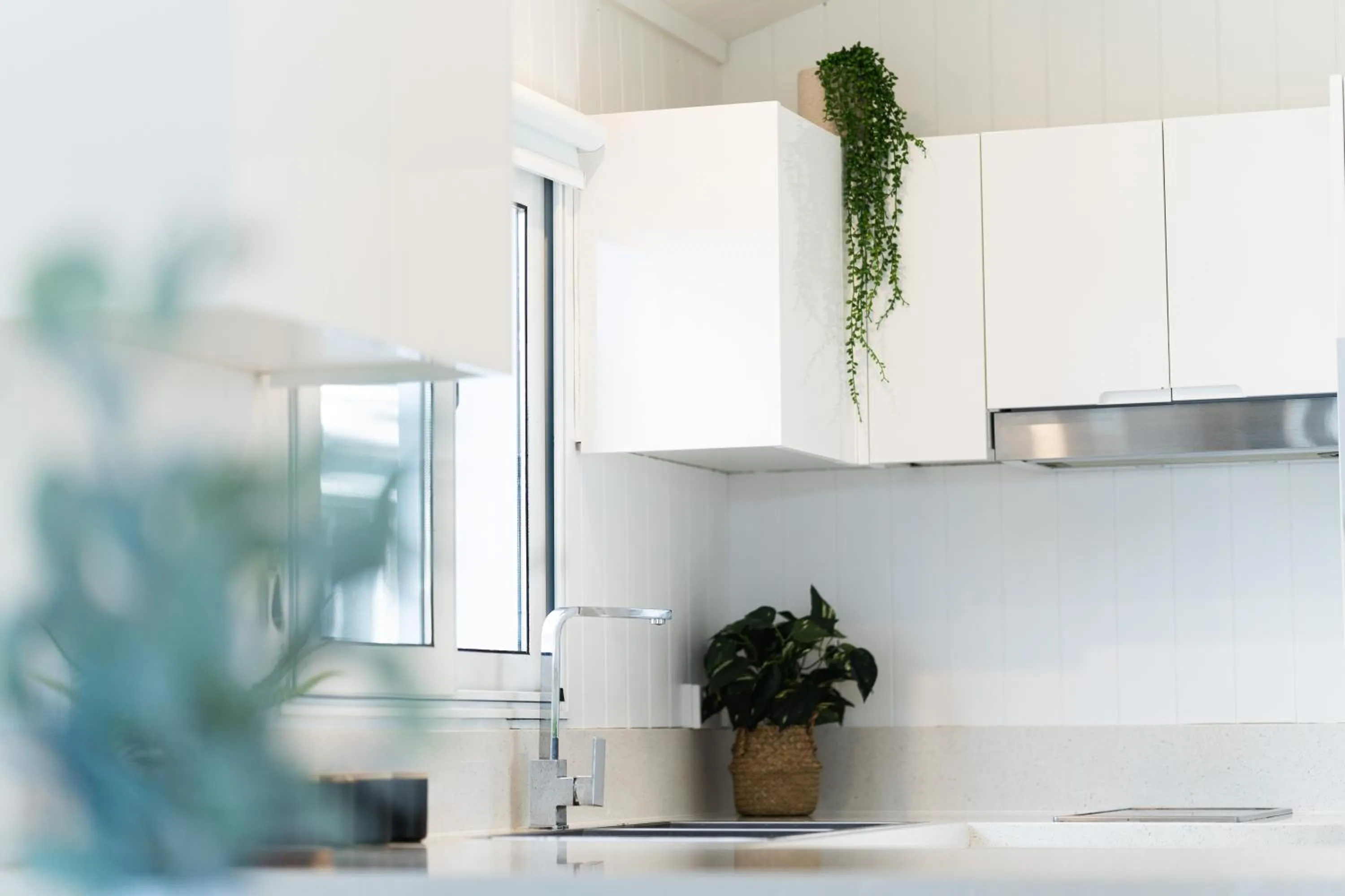 Kitchen or kitchenette in BIG4 Tasman Holiday Parks - Racecourse Beach