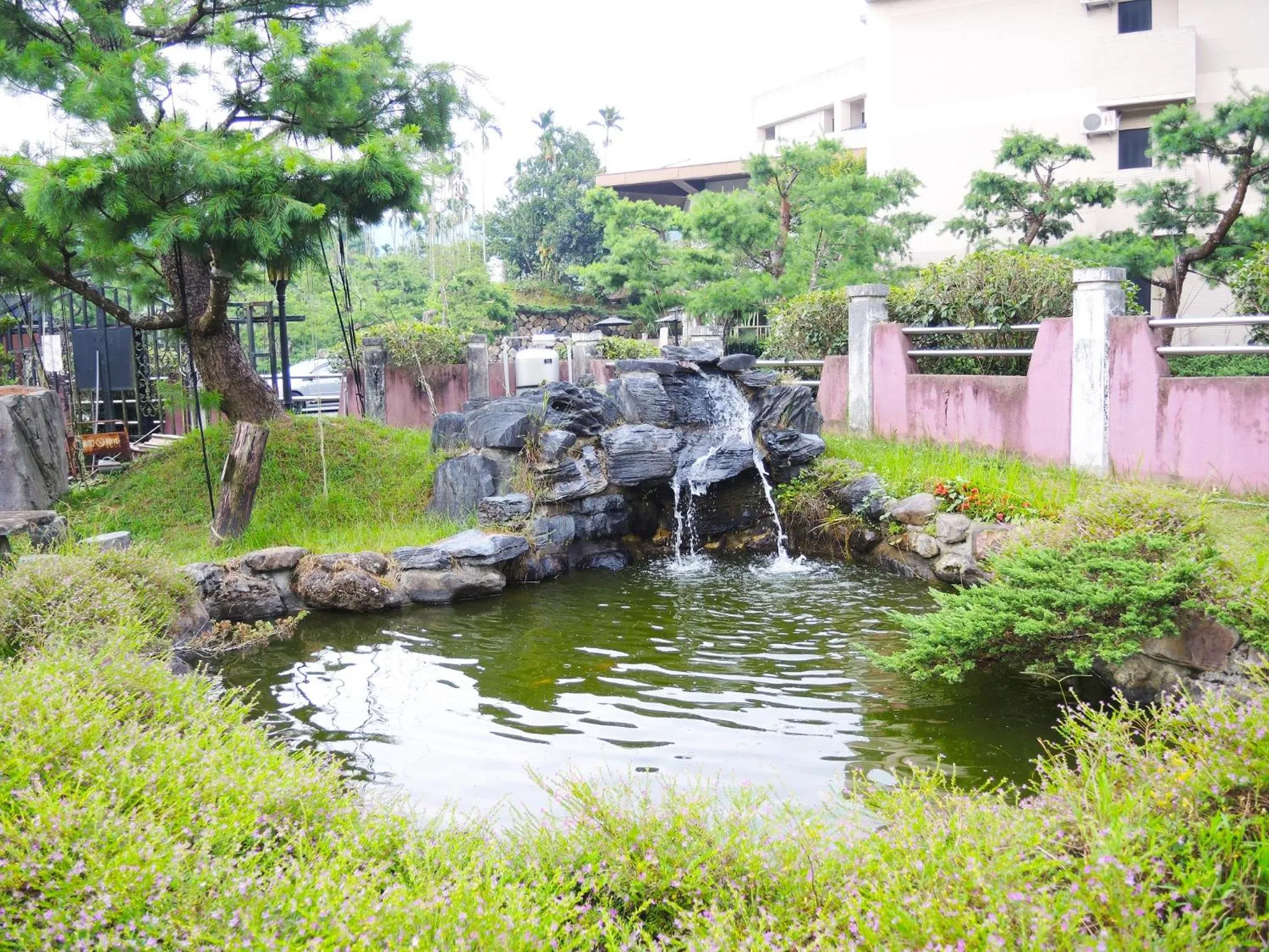 Spring in The Deer Resort