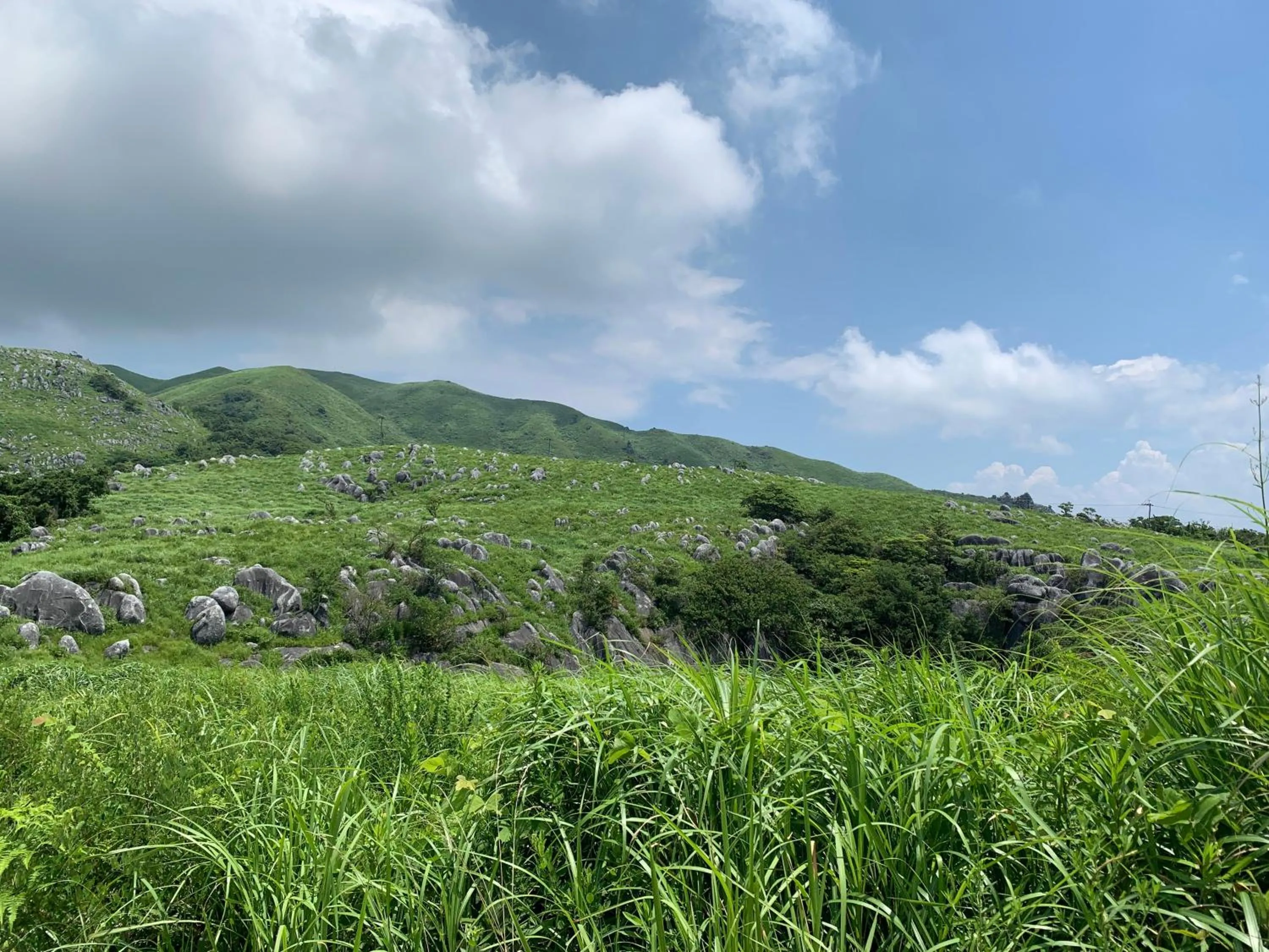Nearby landmark in Plaza Hotel Nogata
